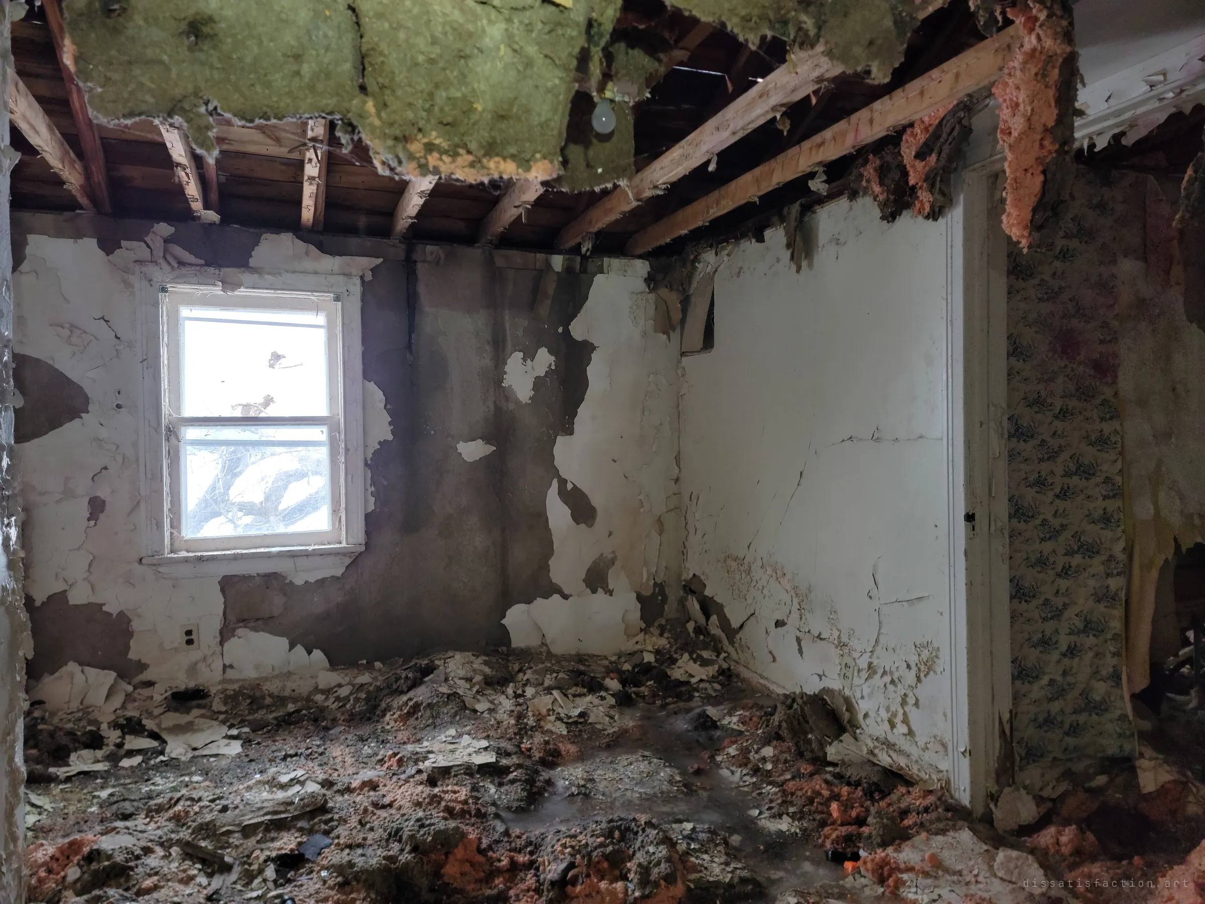 A bedroom with the ceiling torn open, insulation hanging from the joists and piled on the floor beneath flaking walls. The collapse shows water and time eating the house from above.