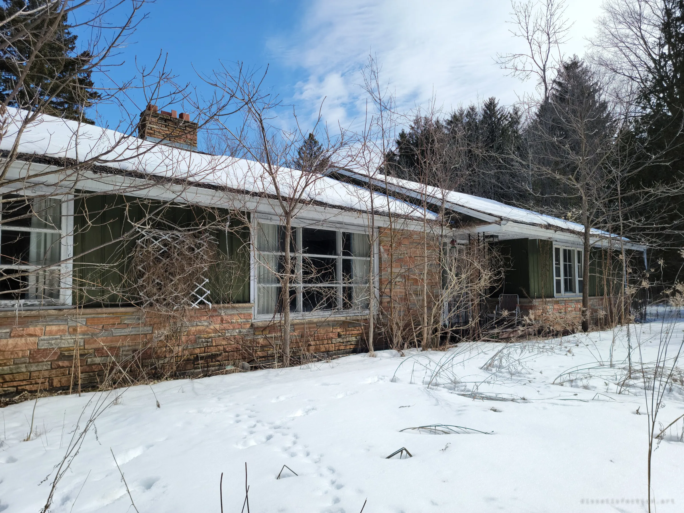 The long side of the house under a snow-covered roof, big picture windows behind a tangle of bare branches. Untouched snow and animal tracks fill the yard.
