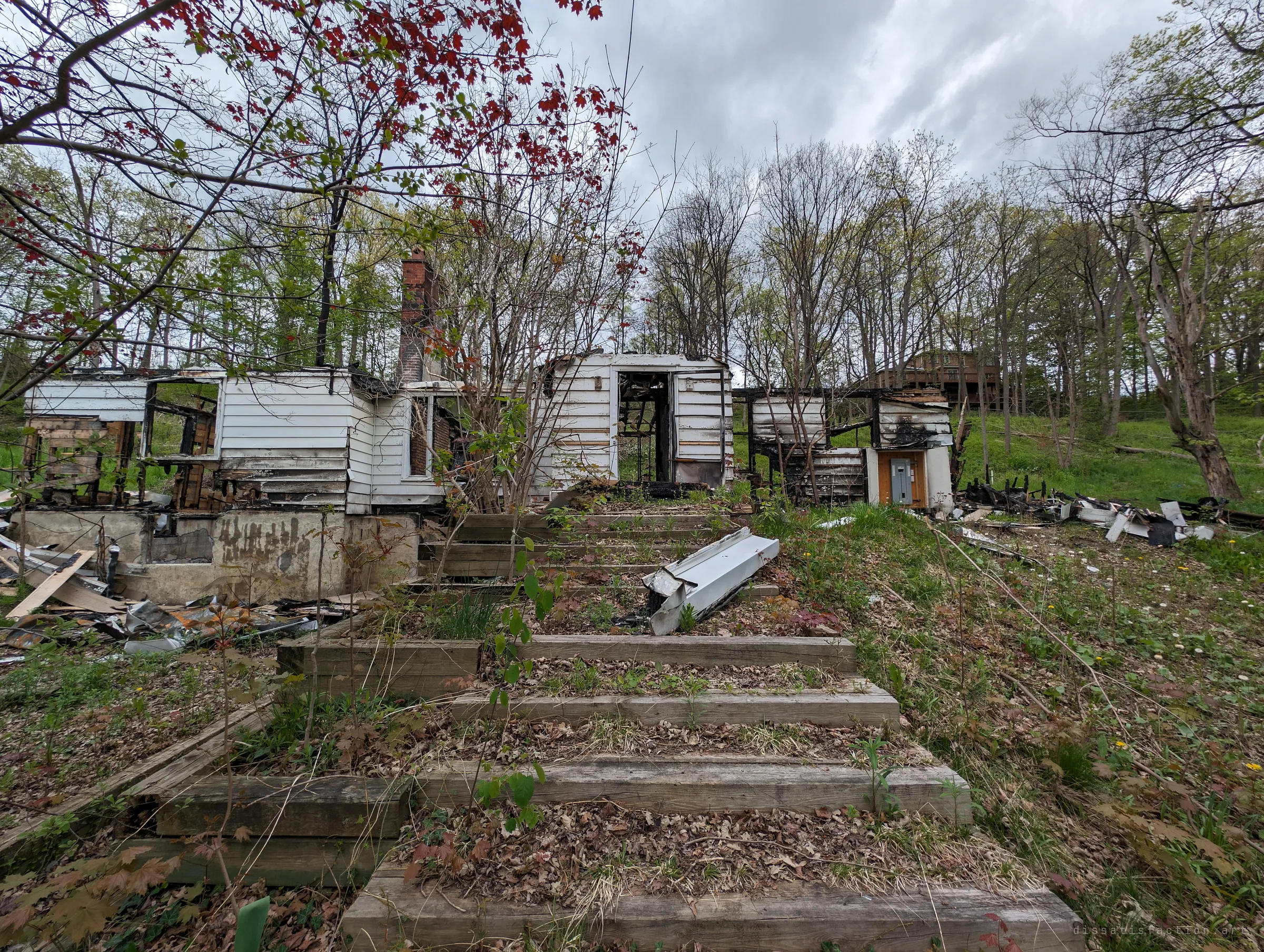 Overgrown timber garden steps lead up to the burned-out house, with a charred doorway, a surviving electrical panel and debris scattered across the lawn. Spring leaves and red maple branches frame how quickly nature is closing back in.
