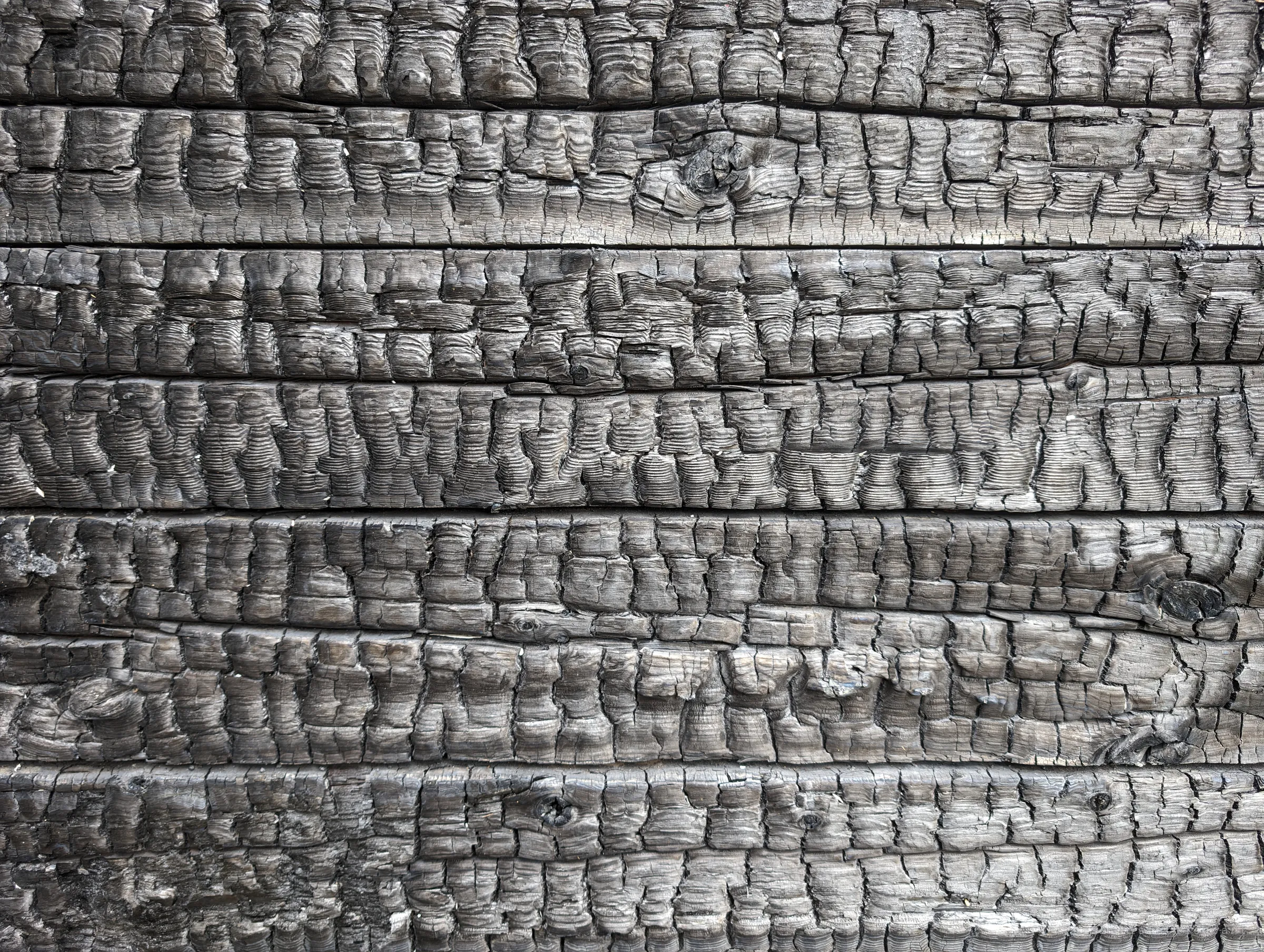 A close-up of burned wooden siding, every board cracked into the deep checkered pattern of alligator char. The texture is a record of the heat the house endured.
