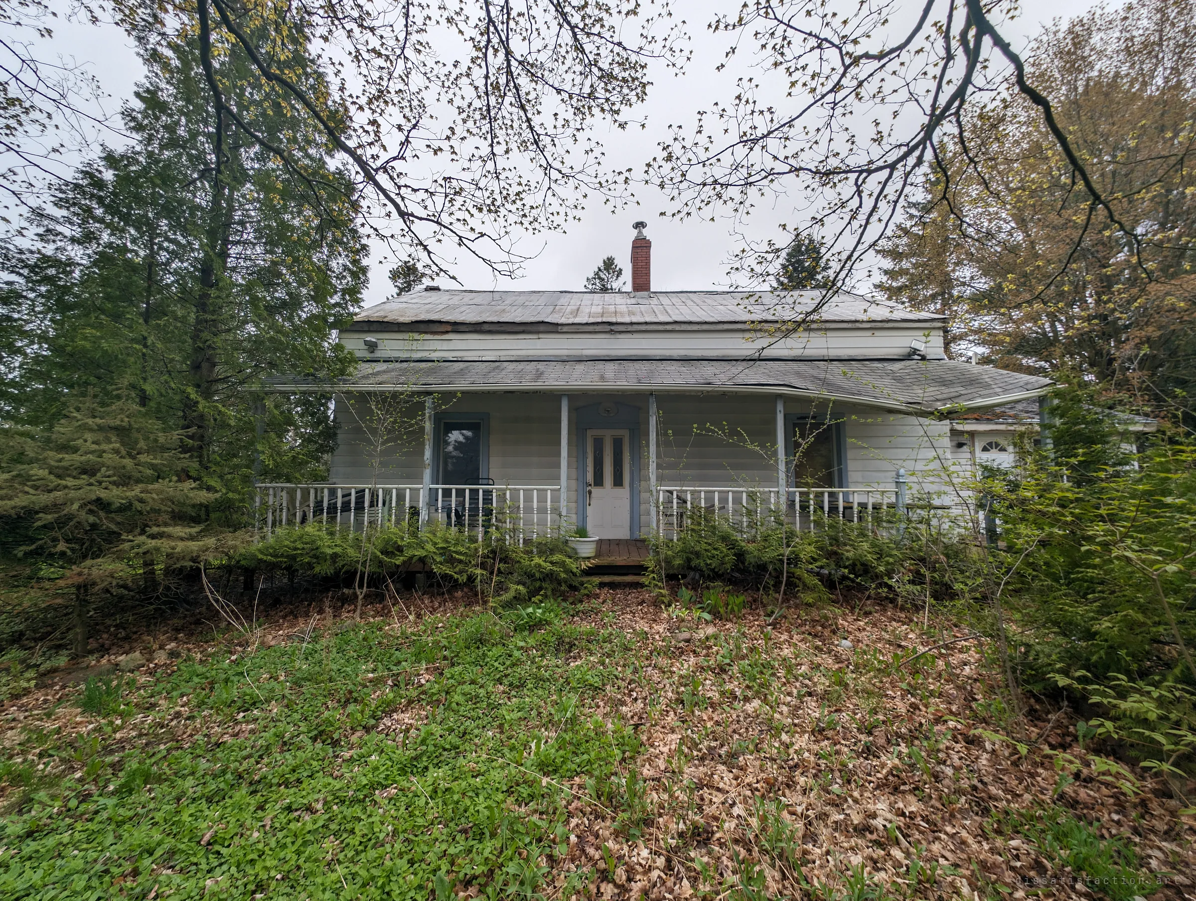 The front of an abandoned clapboard farmhouse, its sagging porch half swallowed by shrubs and a carpet of spring leaves. The first look at the house as nature starts taking it back.