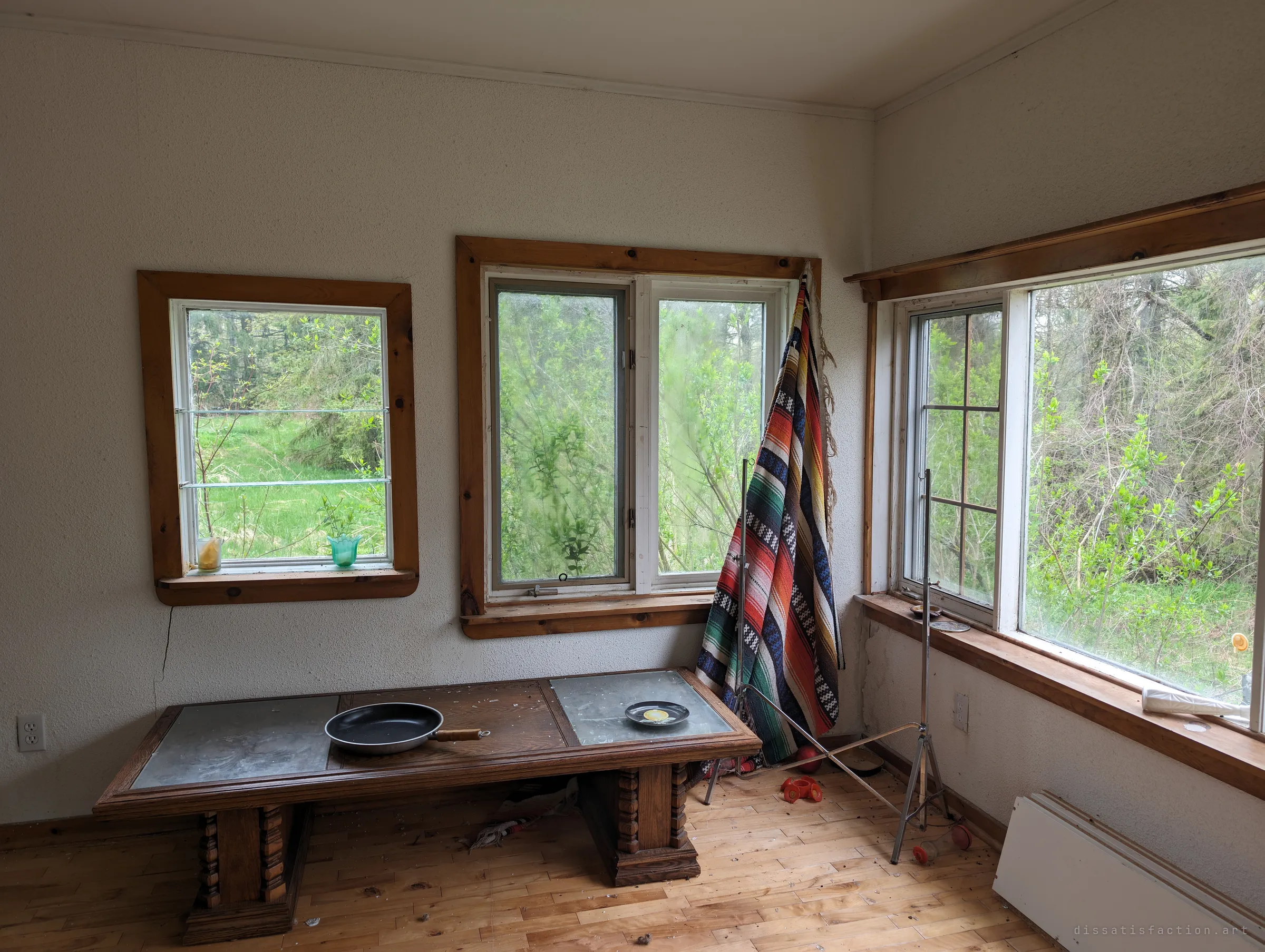 A bright sunroom with pine-framed windows looking onto thick greenery, a heavy carved table holding a frying pan and a striped blanket hung in the corner. Quiet domestic leftovers in soft daylight.