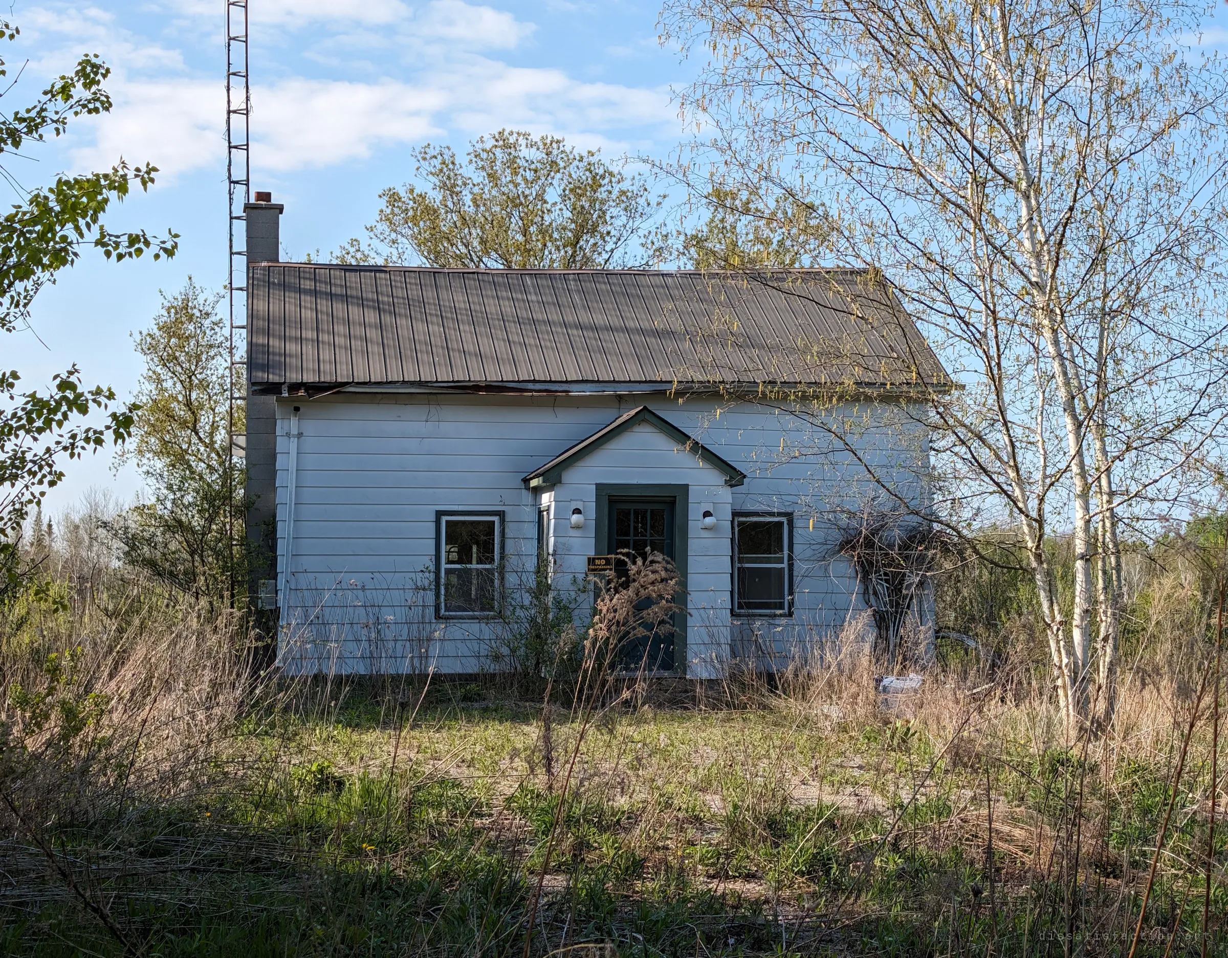 A small white clapboard farmhouse with a brown metal roof, half swallowed by dry grass and young birches, a tall lattice tower rising behind its chimney. The first look at the place from the overgrown yard.