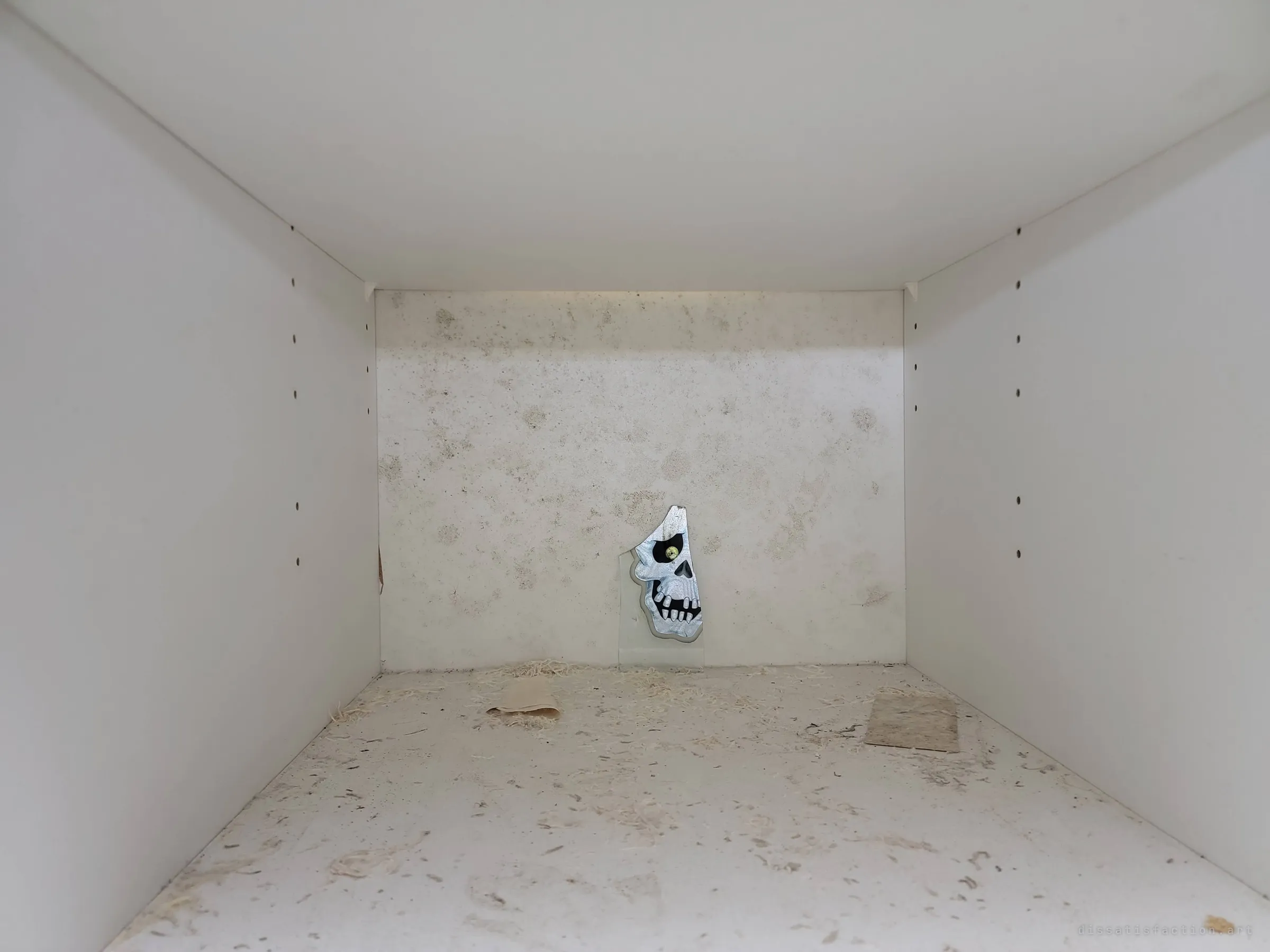 The inside of an empty white cabinet, bare except for a broken shard of a glittery skull decoration propped against the back wall.