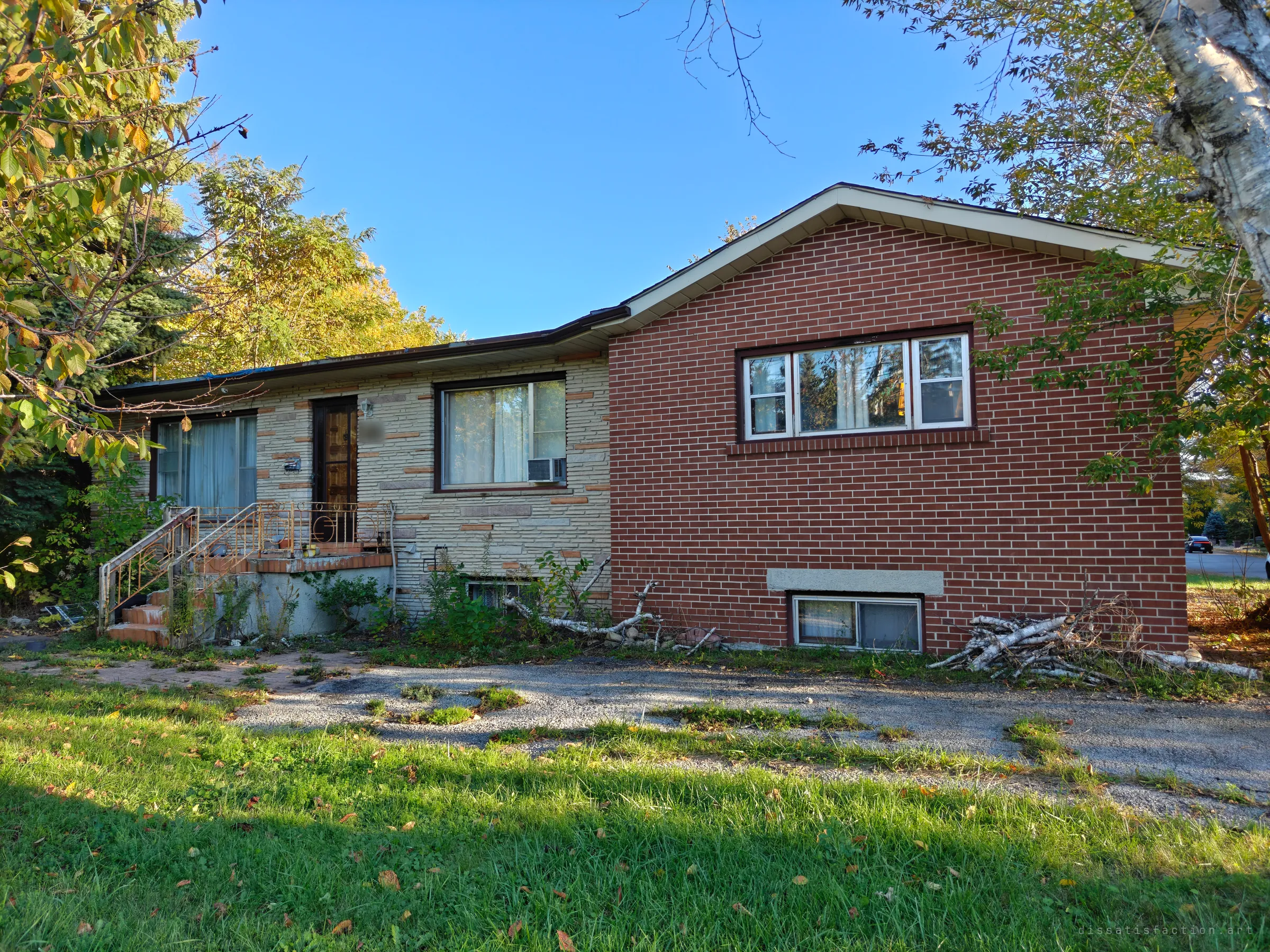 The abandoned bungalow seen from the lawn, its stone-clad front and red brick side wall hemmed in by overgrown shrubs, a cracked gravel driveway and a pile of fallen birch branches.