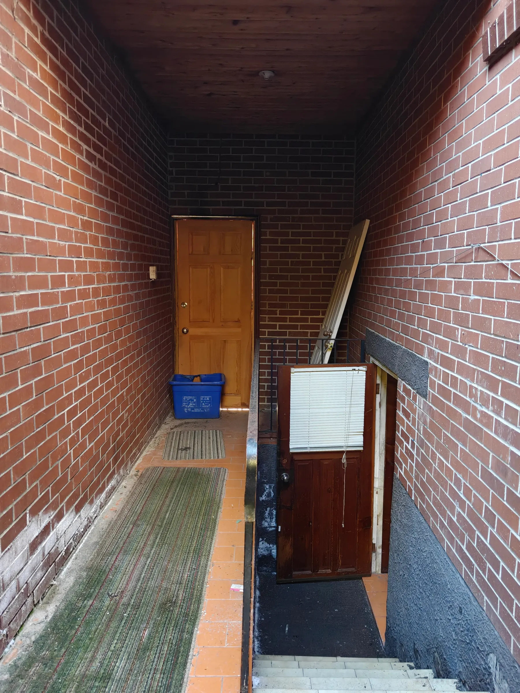 A narrow brick passage leads to a wooden door, a blue recycling bin at its foot, while a stair beside a half-open brown basement door drops into darkness on the right.