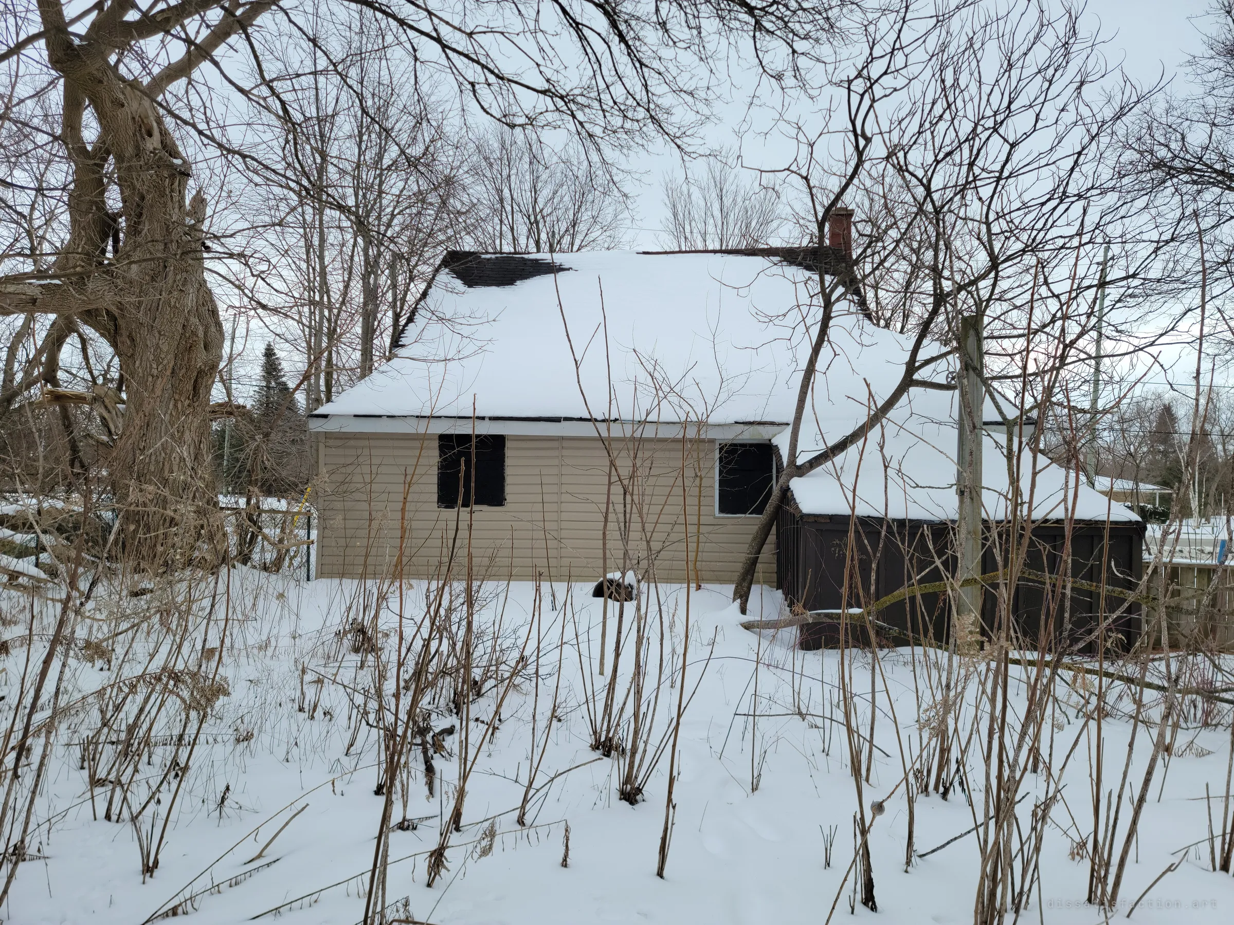 The back of the house under a thick blanket of snow, its windows blacked out and a dark lean-to sagging under a fallen branch. Dead stalks and old trees crowd the yard.