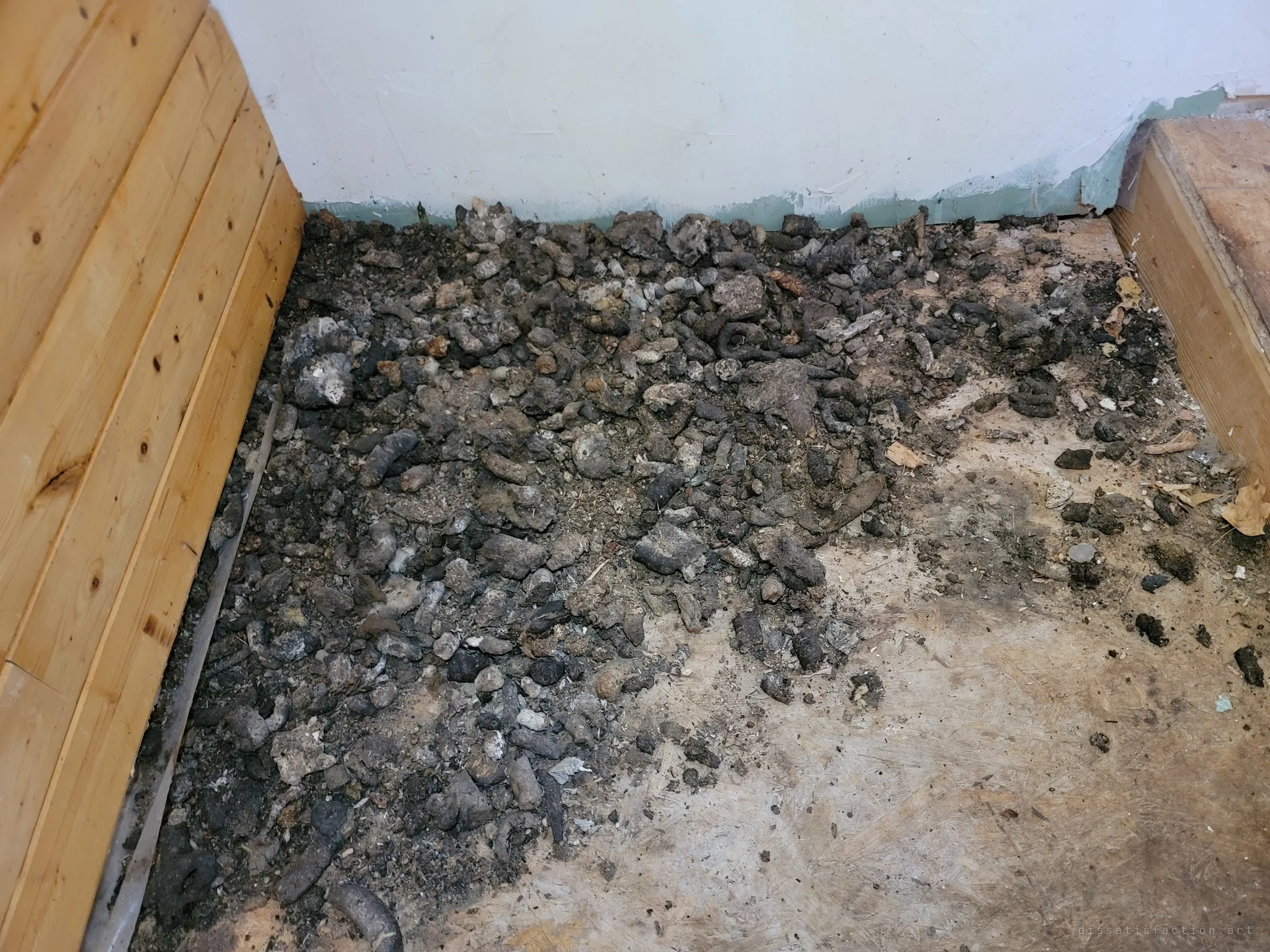 A thick pile of animal droppings covering the floor at the foot of a pine-panelled wall. It shows wildlife has moved in since people left.