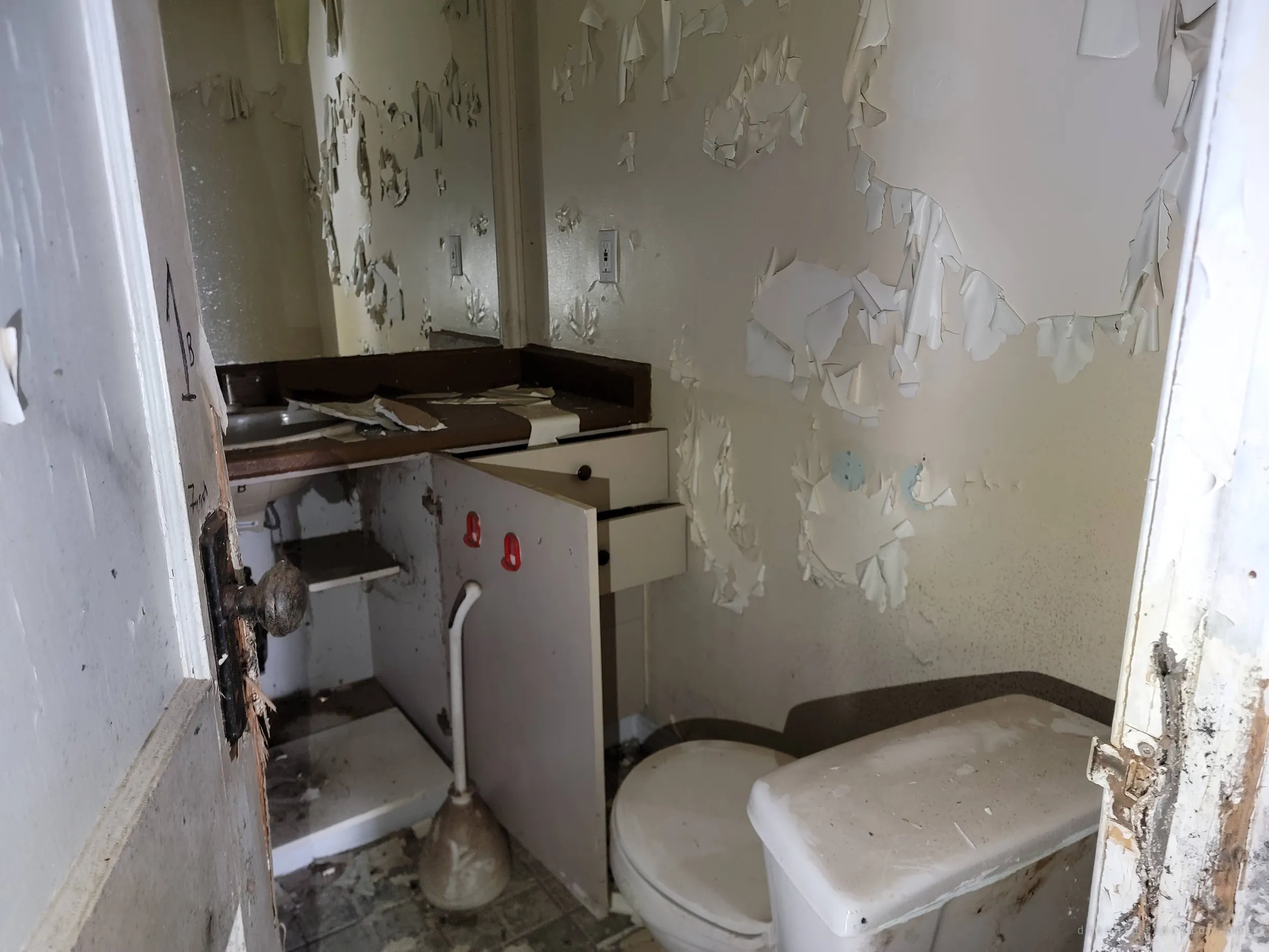 A small bathroom with paint peeling off the walls in curled sheets, an open vanity, a toilet brush and a dusty toilet, seen past a door with marker scrawl on its edge. Decay has taken over the smallest room.