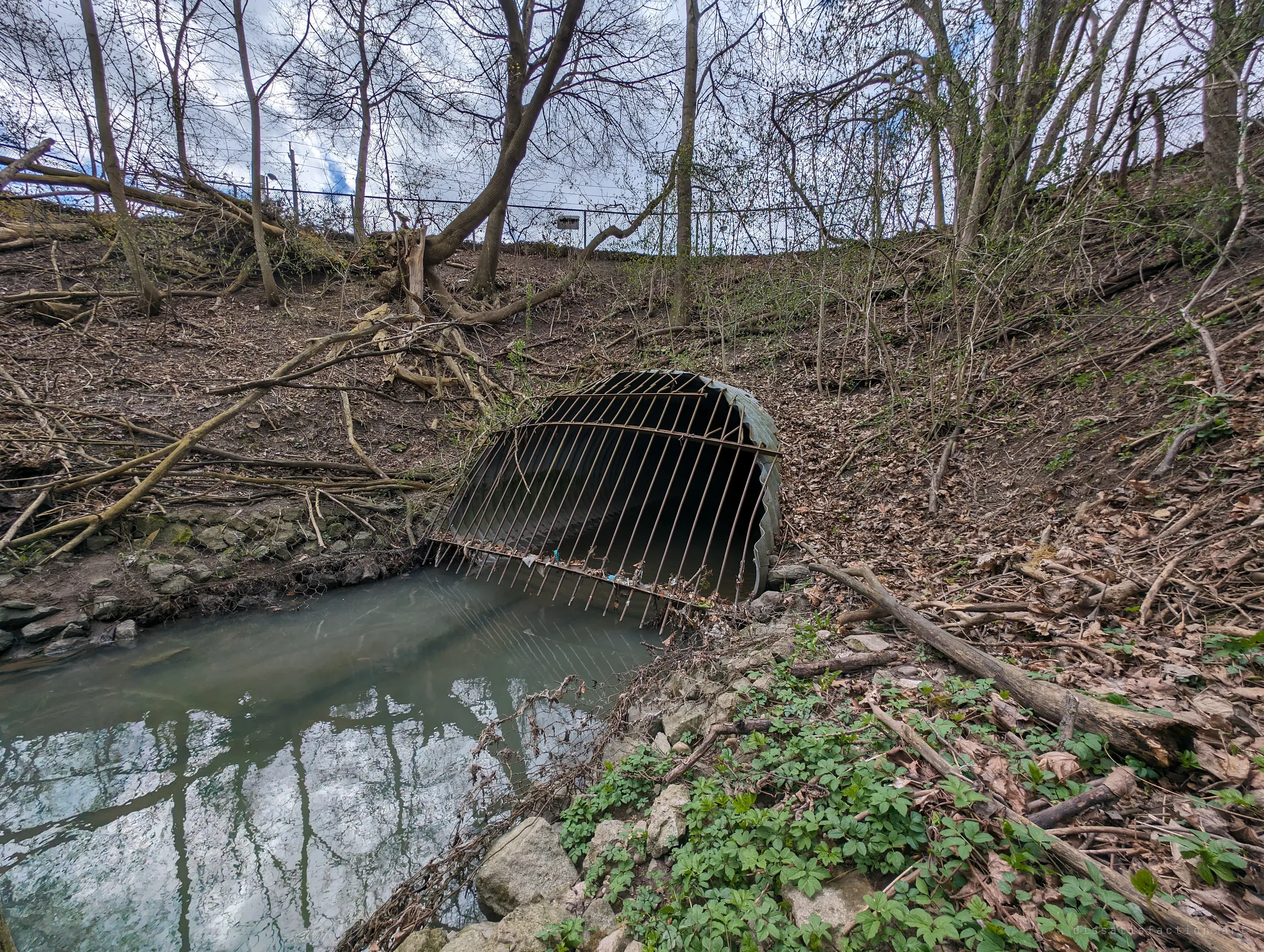 A barred corrugated steel outfall opens into a still, murky pool at the foot of a wooded embankment. The wide view sets the scene before the way in.