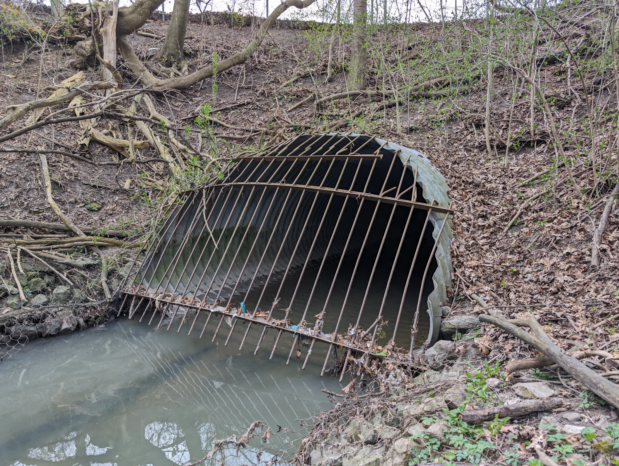 Closer look at the bent, rusted grate over the corrugated pipe mouth, debris snagged along its bottom rail. The bars are warped enough to show how people get in.