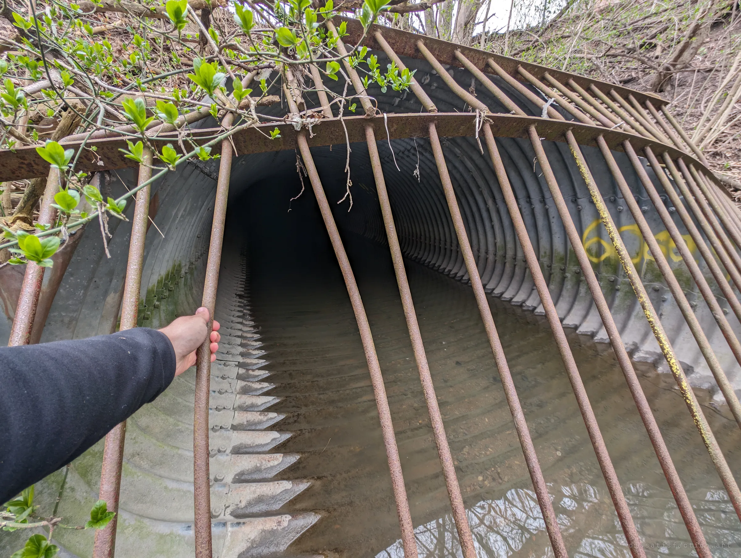 An arm reaches between the warped bars of the grate into the corrugated pipe, shallow water running along its floor. The bent bars make an easy point of entry.