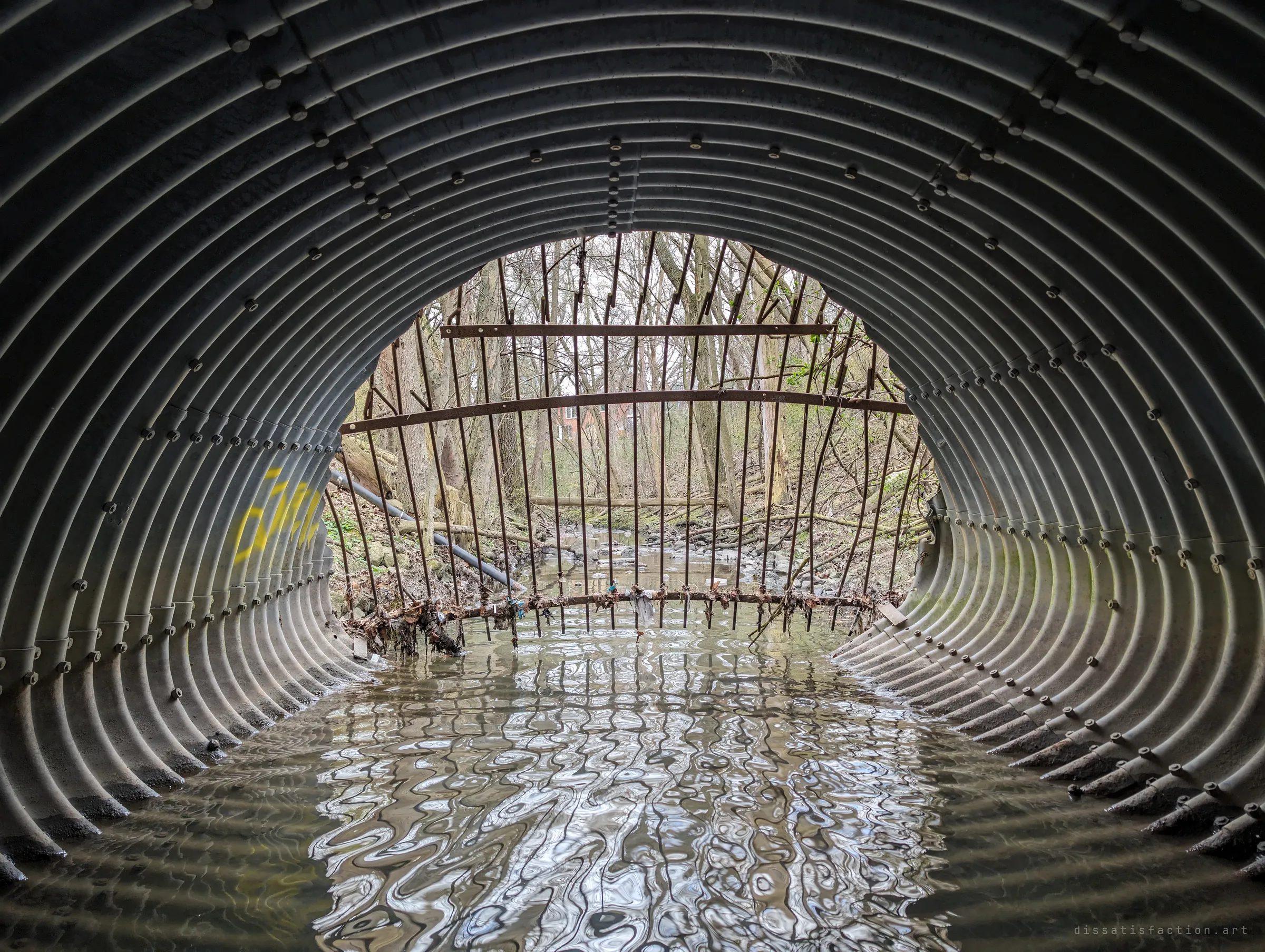Looking back out from inside the corrugated pipe, rippling water reflects the grate and the woods beyond. The bolted rings frame the entrance like a lens.