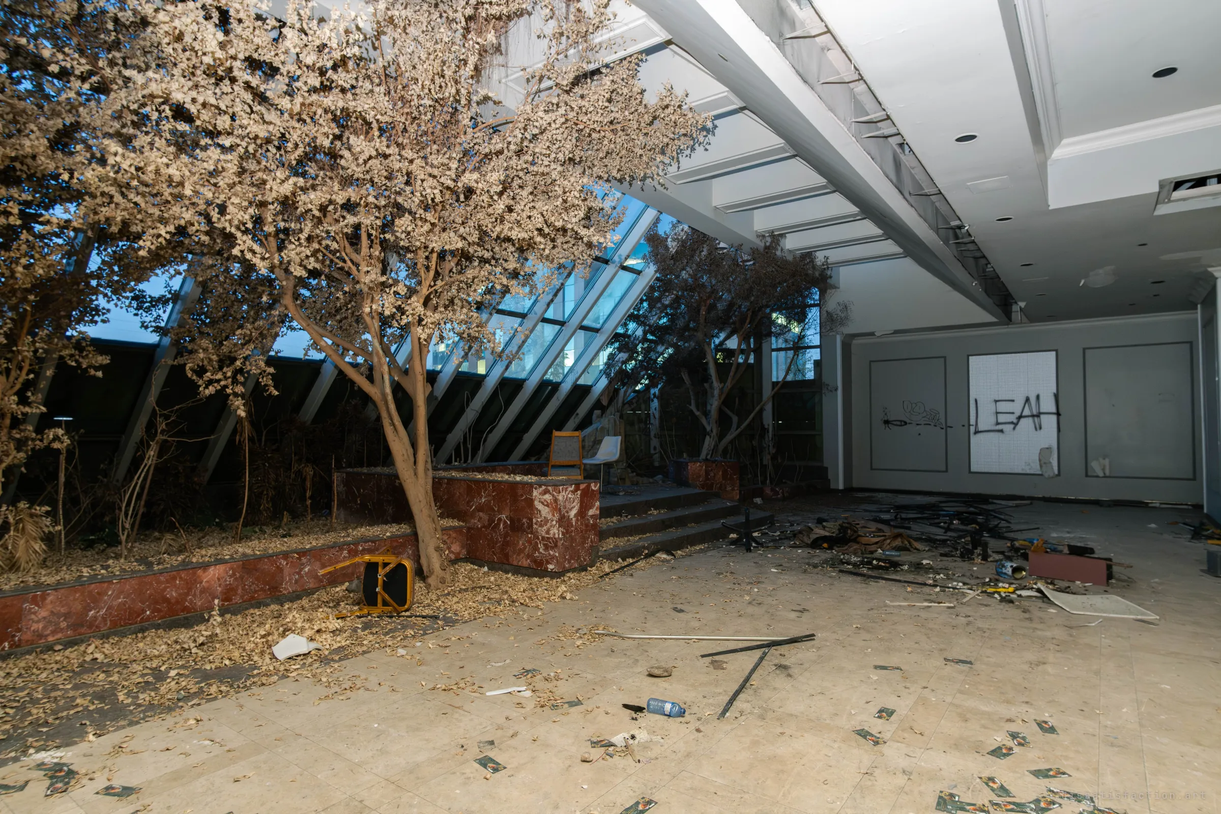 A dried-out indoor tree garden beside a sloped glass wall, with leaves covering the floor, a toppled chair and a graffiti-tagged wall at the back of the hall.