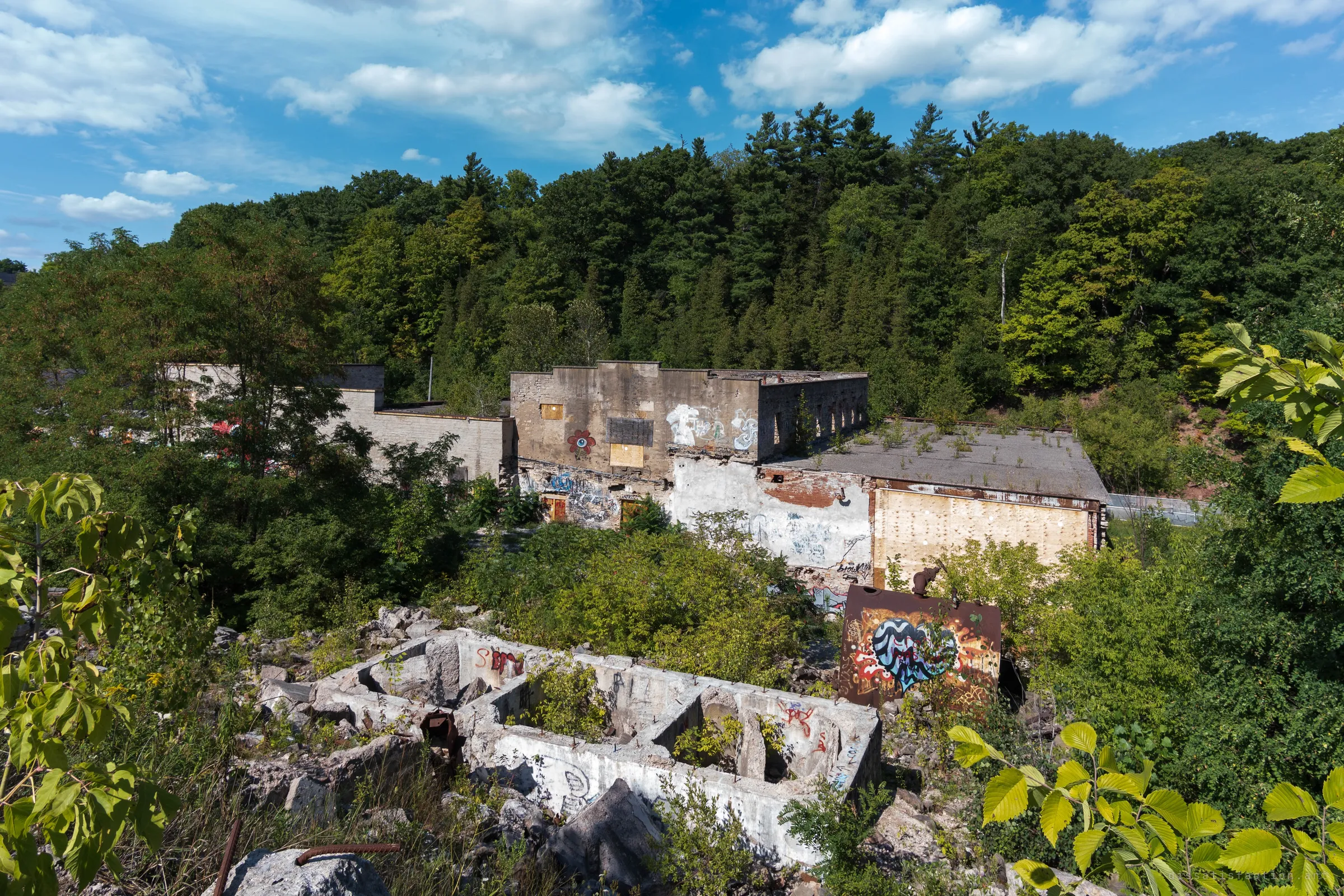 Looking down from a rubble ridge over a graffiti-covered stone and concrete mill complex swallowed by summer forest. Roofless foundations in the foreground show how far the ruin has already gone back to the woods.