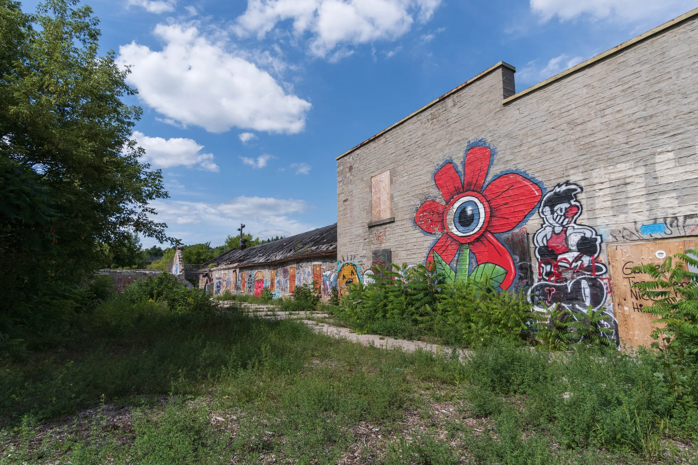 A tall limestone wall painted with a huge red one-eyed flower, overlooking a long graffiti-lined shed and an overgrown yard. Street art has turned the empty mill into an open-air gallery.