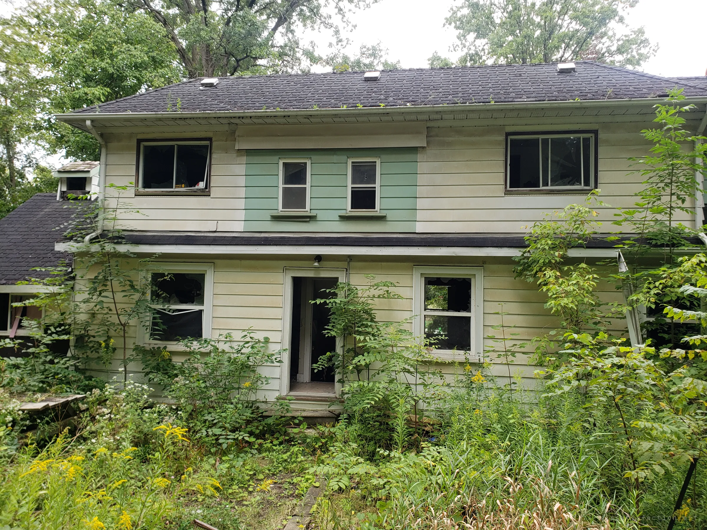 The overgrown back of an abandoned two-storey house, a mint-green panel between the upstairs windows and the back door standing open. Goldenrod and saplings have taken the yard, showing how long it has sat empty.
