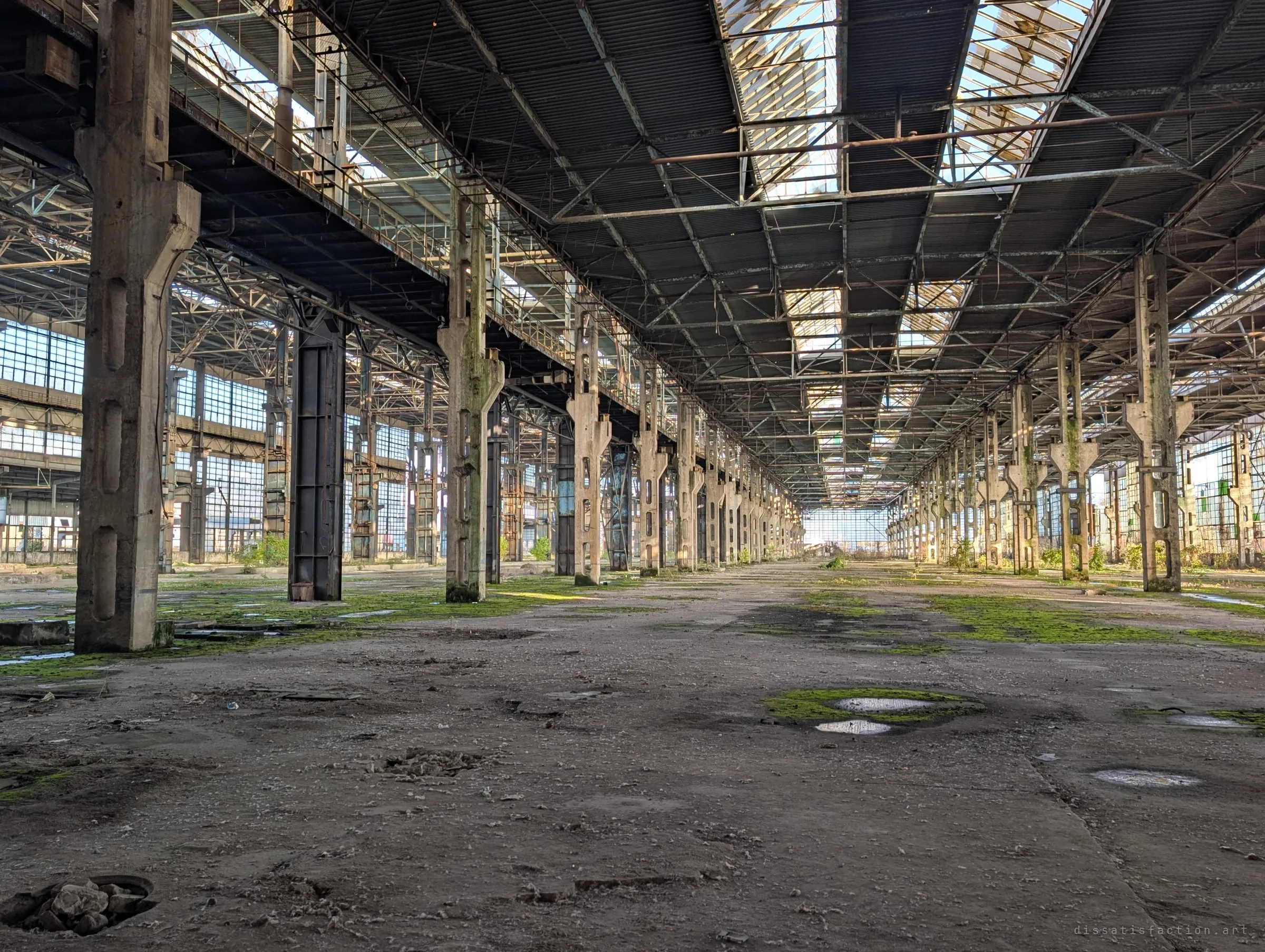A seemingly endless aisle of concrete and steel columns under skylit roof trusses, the floor dusted with debris and patches of moss.