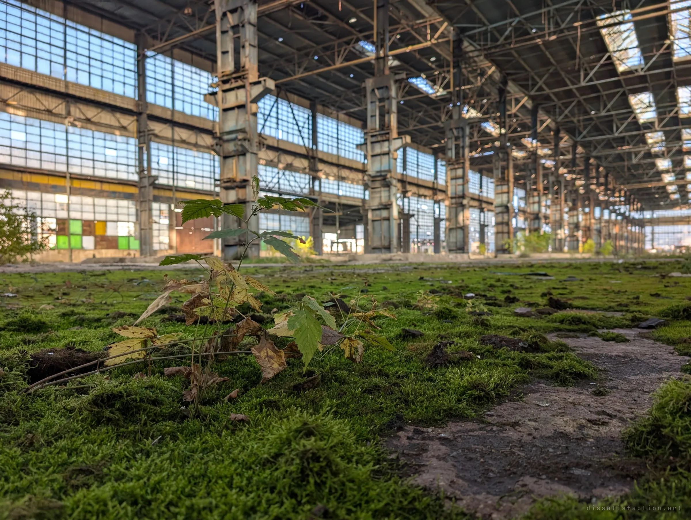 A maple sapling rises from a thick carpet of moss on the hall floor, with the rusted columns and glass walls blurred behind it.