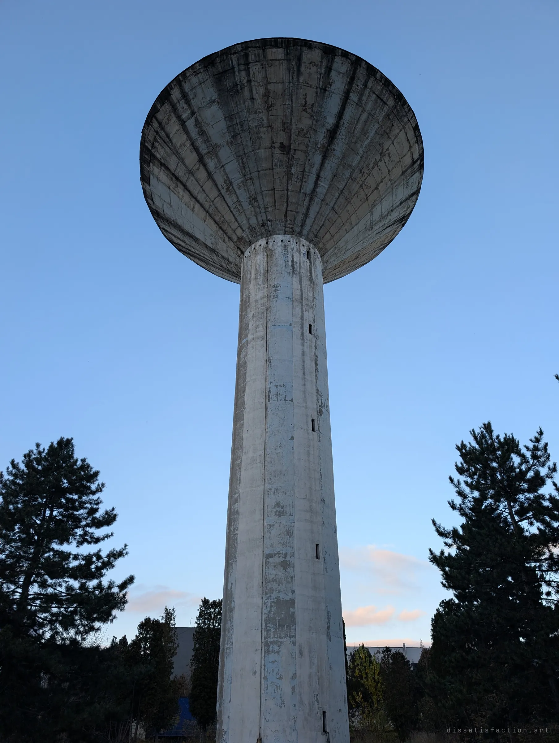 Looking up at a weathered concrete water tower with a flared, ribbed tank, framed by dark pines against a clear evening sky. The low angle makes the tower feel monumental.
