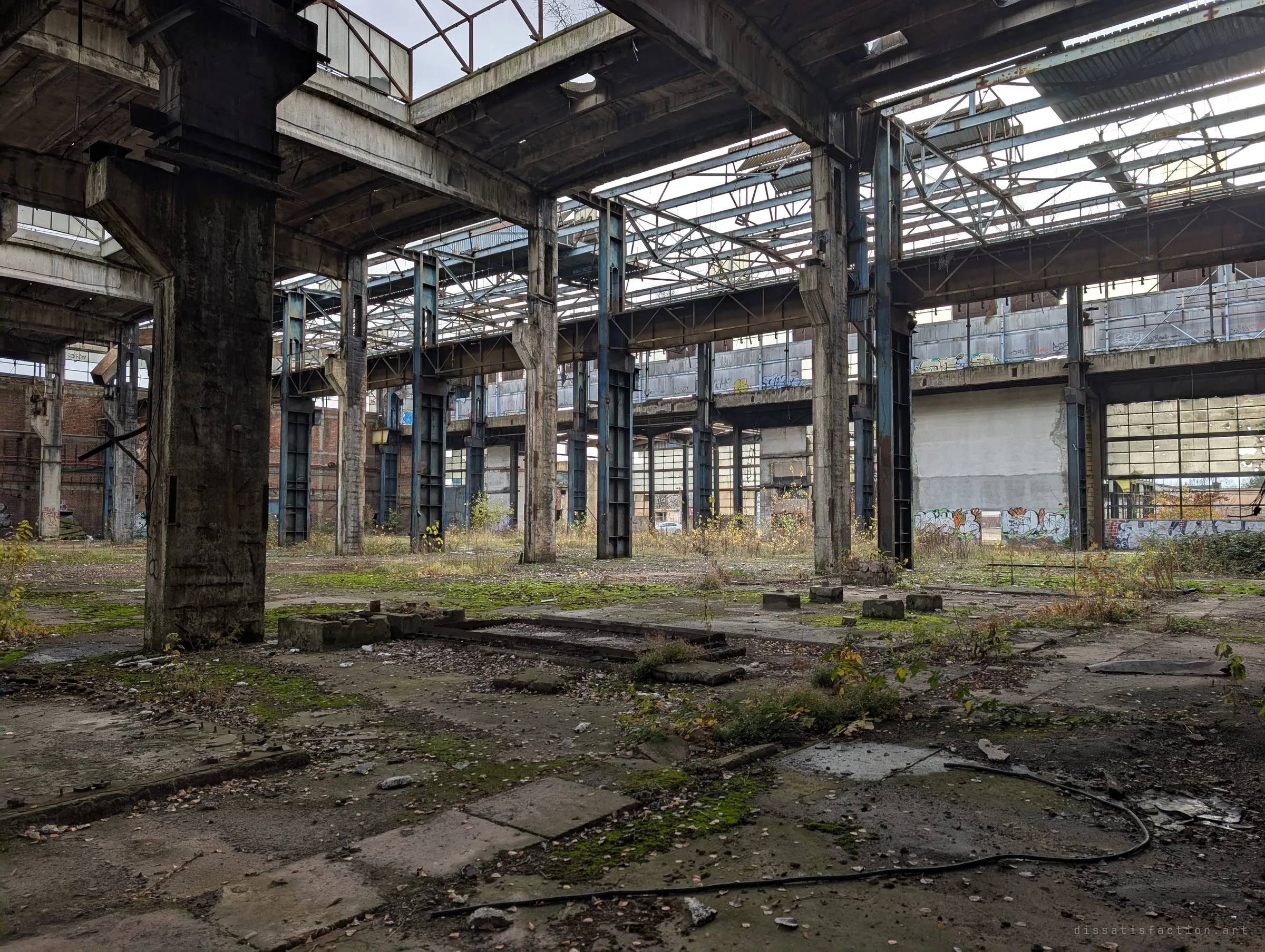 Inside a vast roofless hall: concrete columns, blue steel crane supports and an open truss roof over a floor taken by moss and saplings. Graffiti lines the far walls.