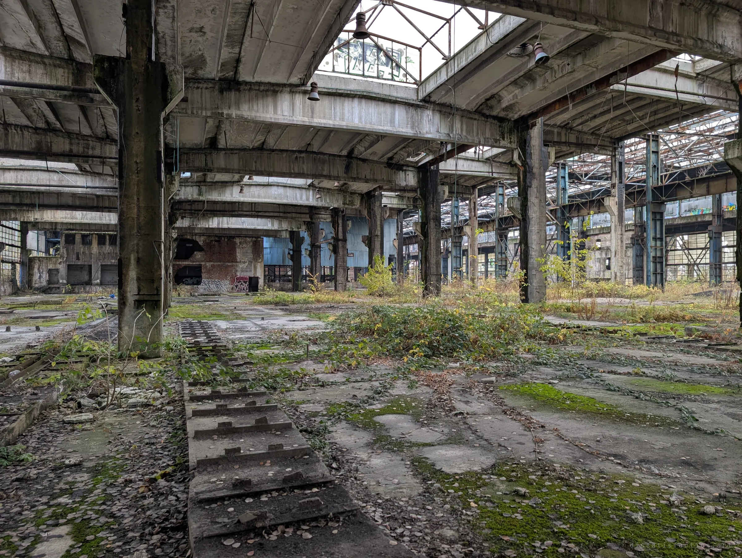 A forest of heavy concrete columns and crane beams, with a toothed machine-bed channel running across a floor carpeted in leaves and moss. Blue steel columns glow in the far bay.