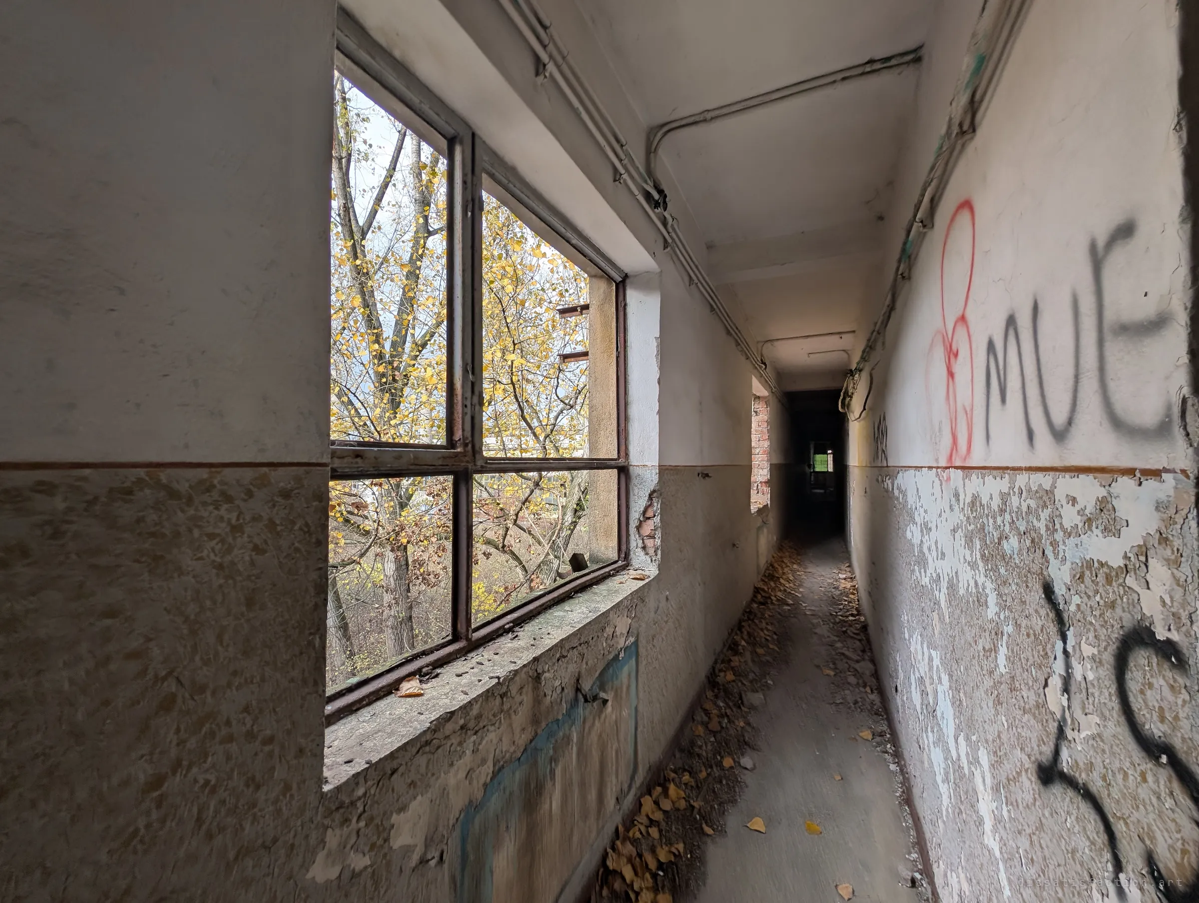 A narrow corridor runs along a row of steel-framed windows, autumn leaves drifting on the floor and graffiti on the peeling wall. The yellow trees outside are the only colour in the grey.