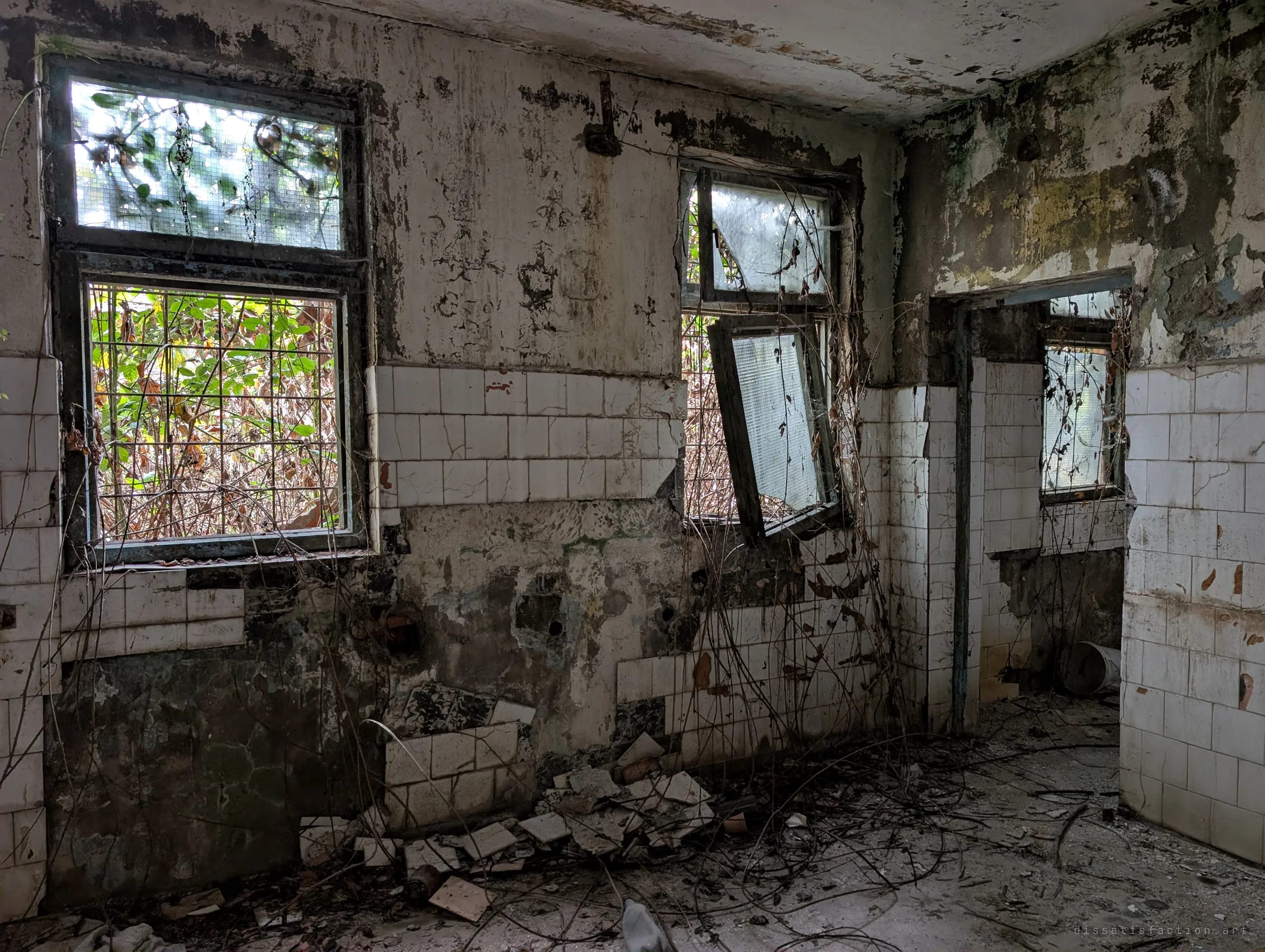 A tiled washroom is overrun by vines, with a window hanging off its hinges and broken tiles heaped on the floor. Nature is pushing in through the barred windows.