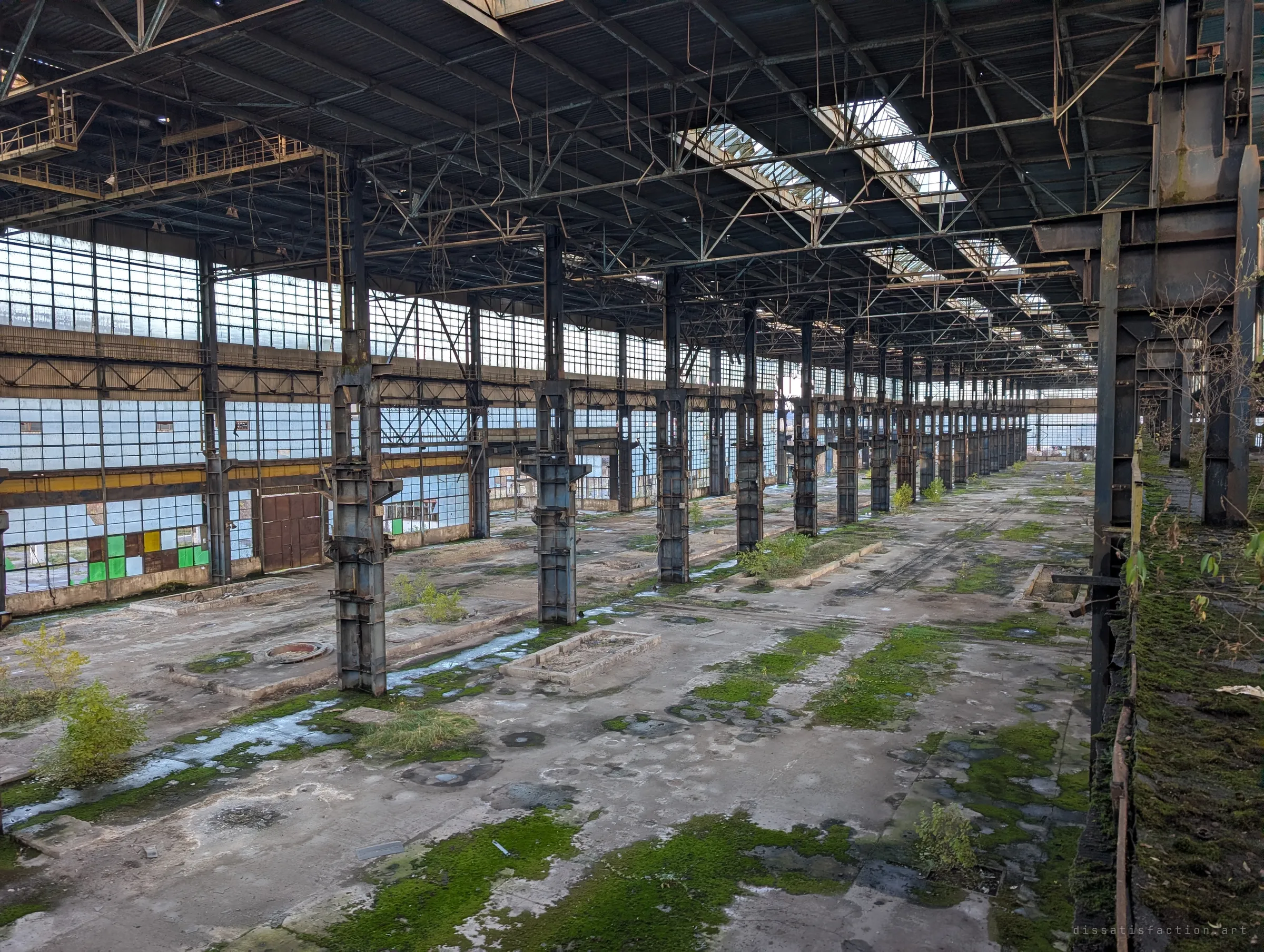 An enormous empty production hall seen from above, with a long line of steel columns receding toward the far wall of windows. Moss and small shrubs have taken over the concrete floor.