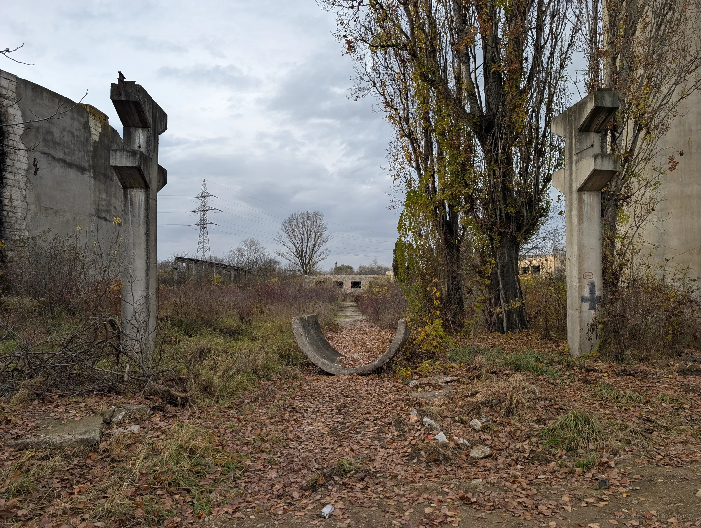 Two broken concrete pillars frame an overgrown, leaf-covered path with a half-pipe of concrete lying across it. The yard has gone back to scrub and poplars.