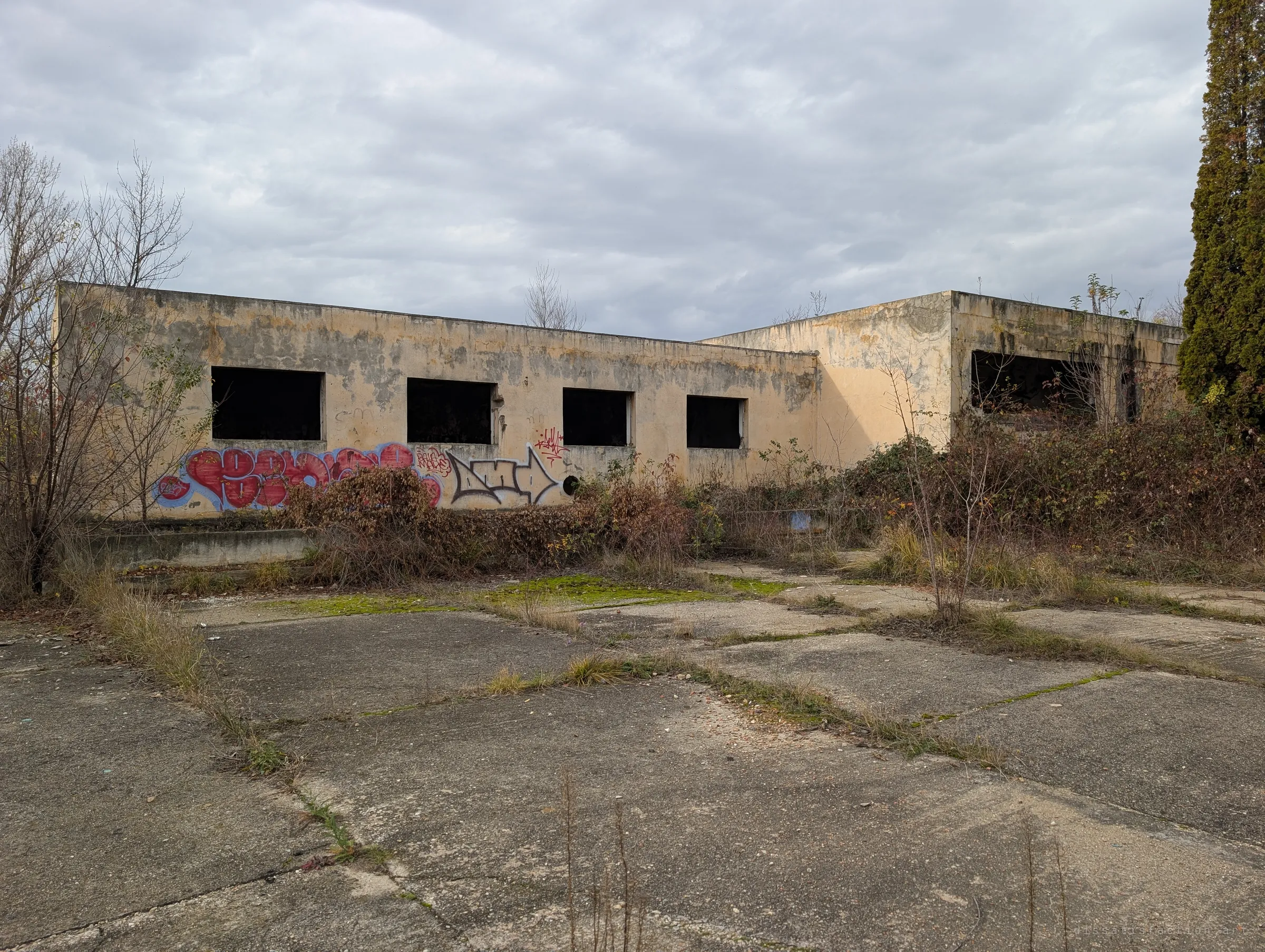 A long, low ochre building with a row of dark window openings and graffiti along its base, seen across a cracked concrete yard. Weeds push up through every seam.