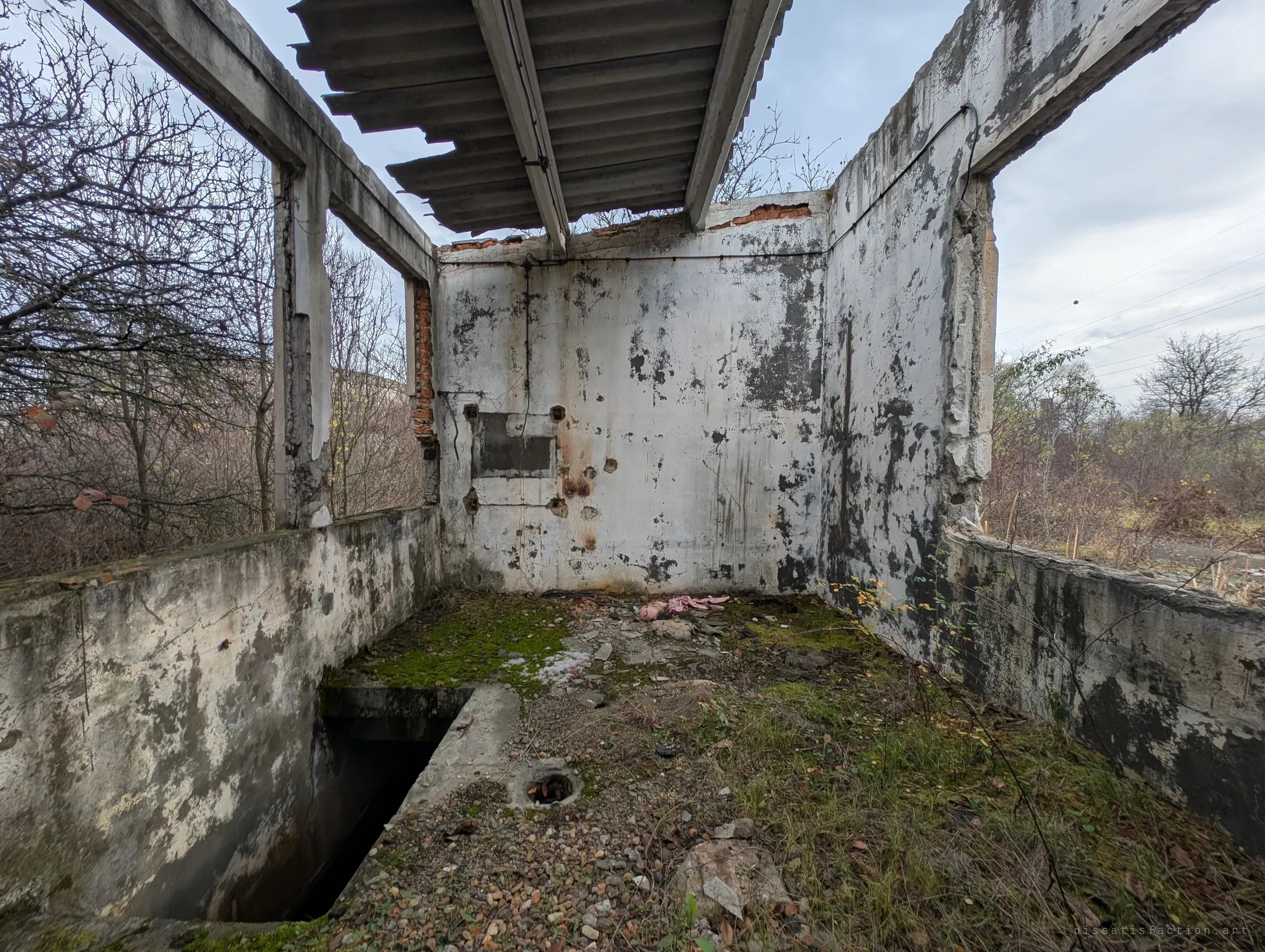 Inside a roofless concrete room, moss and gravel cover the floor beside an open pit, under the last few corrugated roof sheets. Bare trees crowd in through the open walls.