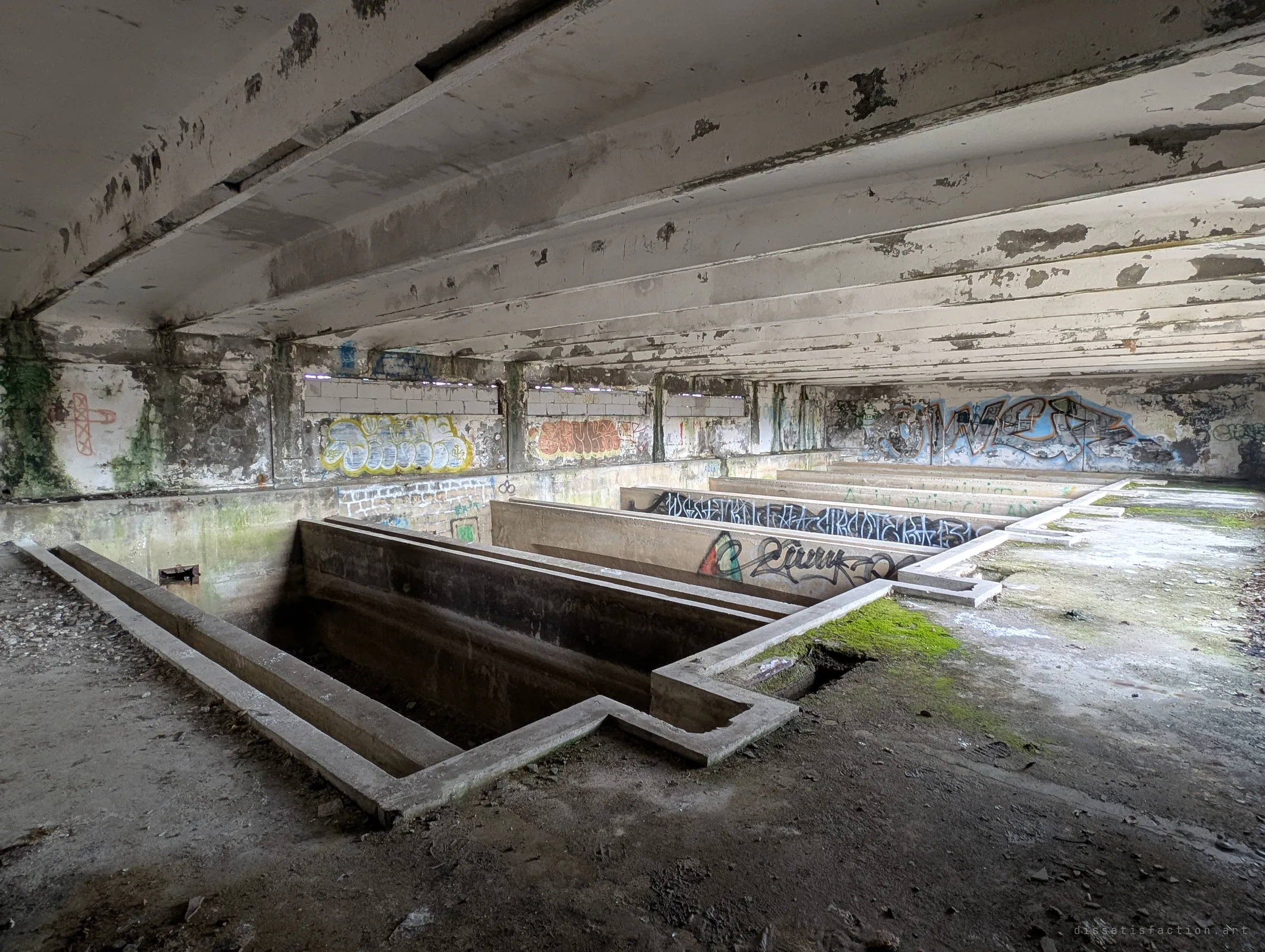 A long low hall of concrete beams over a row of deep empty trenches and machine pits, moss creeping across the floor and graffiti pieces along the far wall.