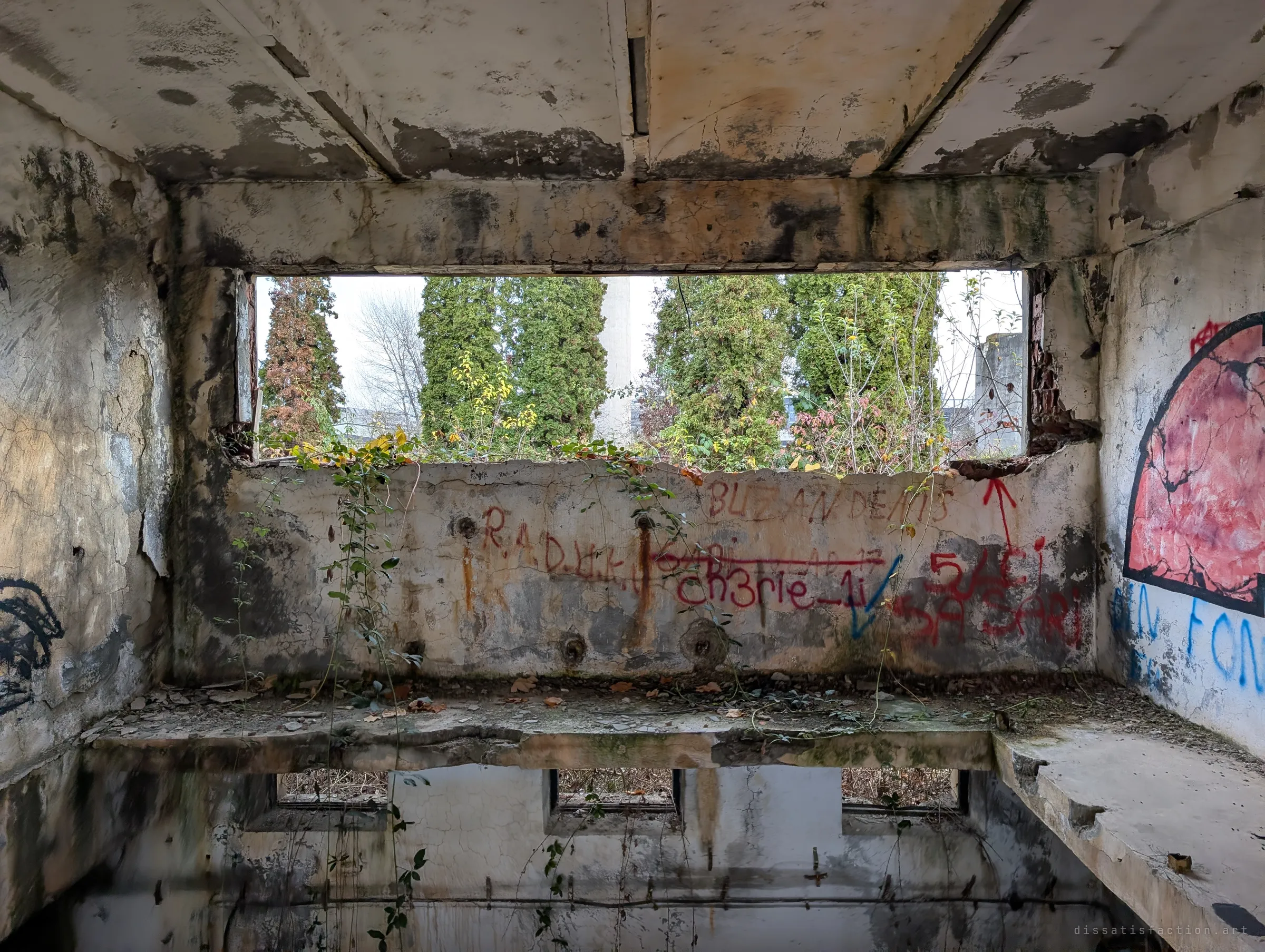 A glassless window full of conifers and vines above a scrawled wall, with the lower storey's small windows visible through the gap in the floor.