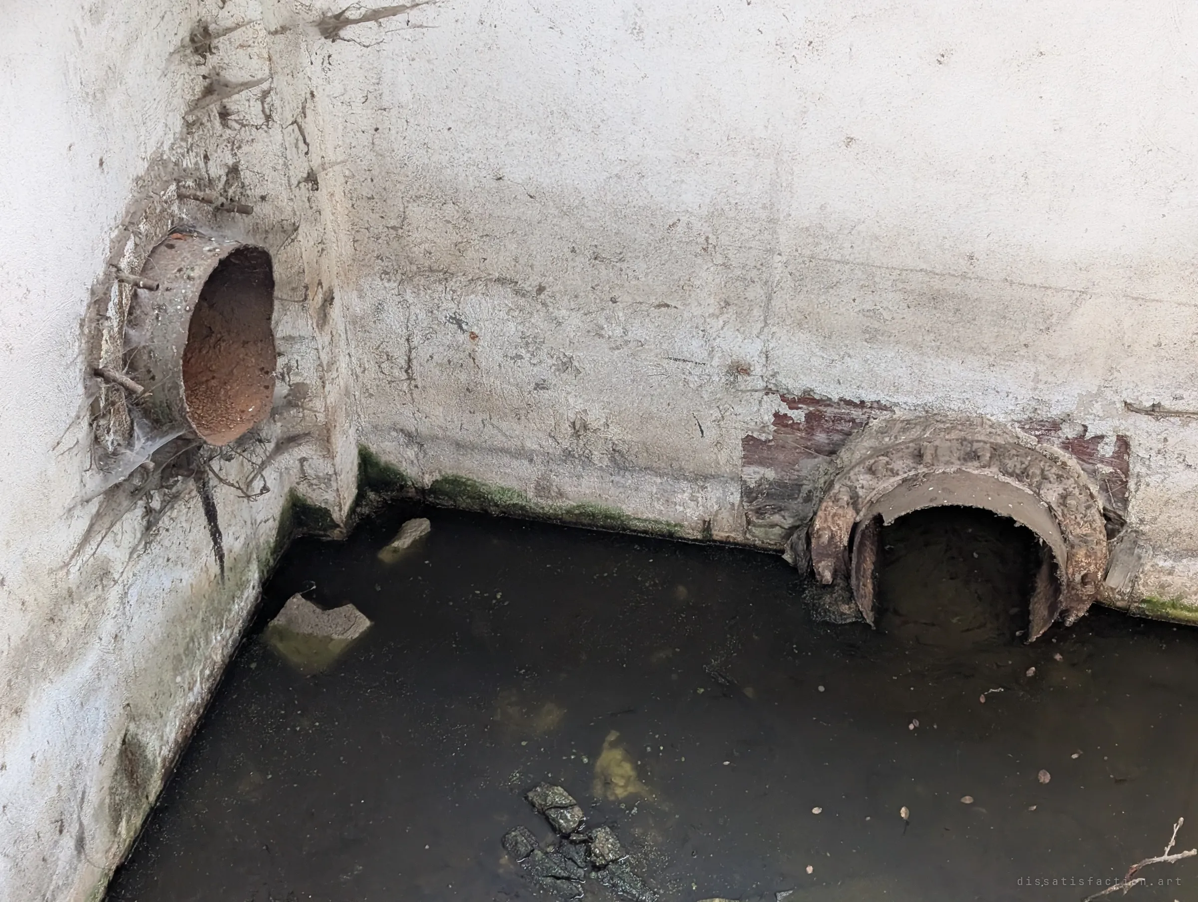 A corner of the basin where two rusted pipe mouths open above dark standing water, draped in cobwebs.