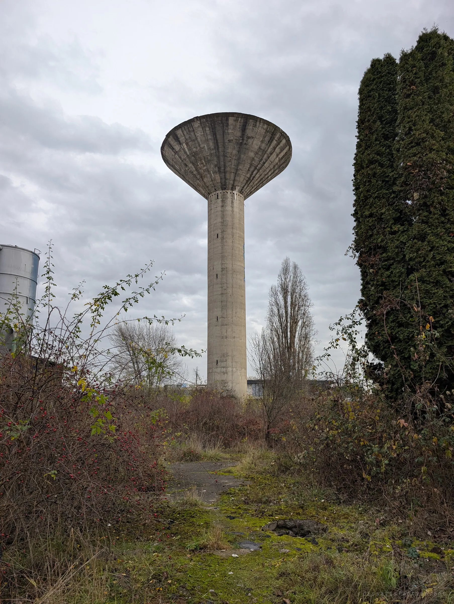 A tall concrete water tower with a flared mushroom-shaped tank rises over overgrown scrub under a grey sky, a steel silo at the left edge.