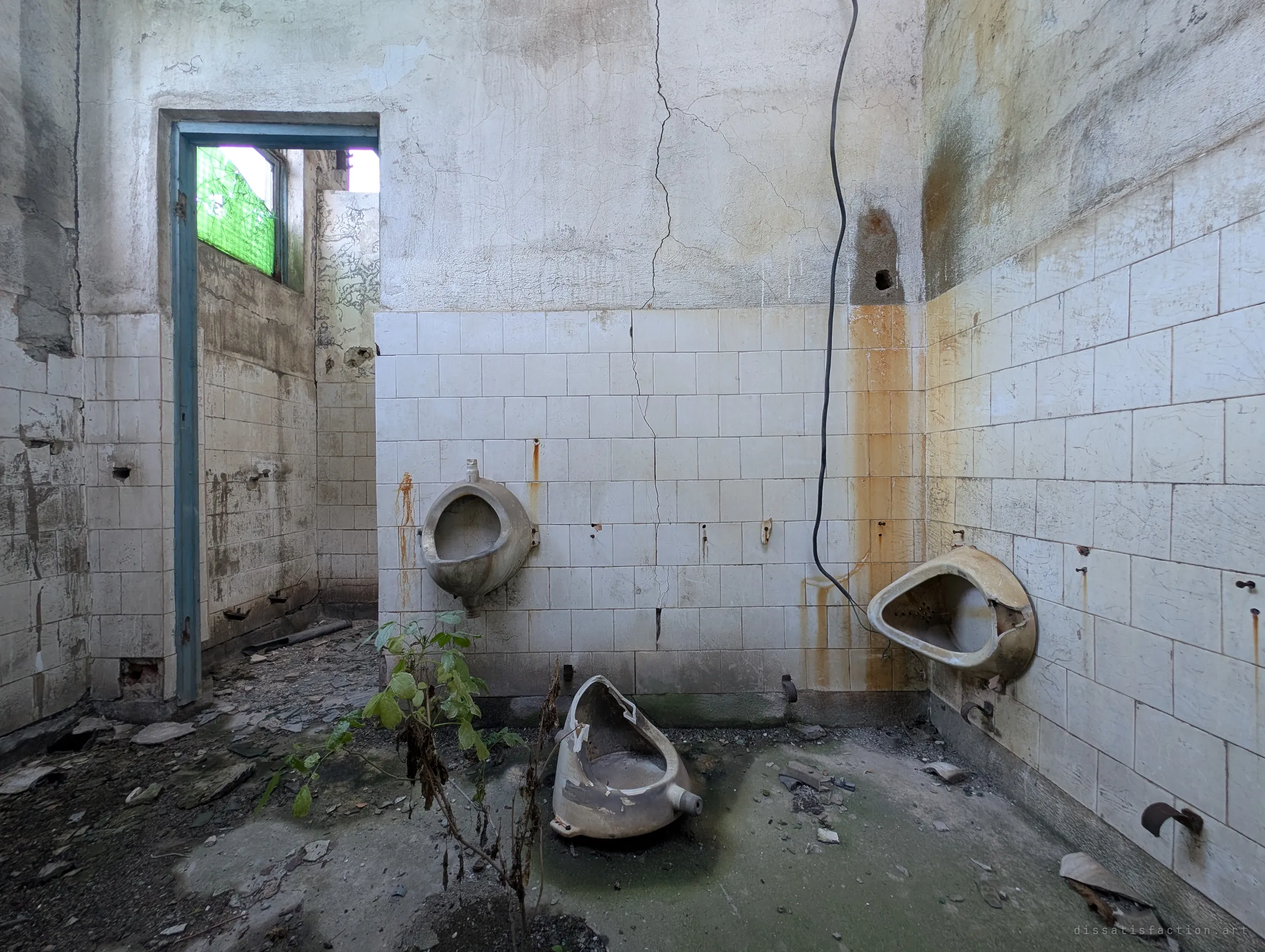 A tiled workers' washroom with rust-streaked walls, one urinal still mounted and another smashed on the floor. A young plant grows up through the debris, lit green by the glass in the doorway window.