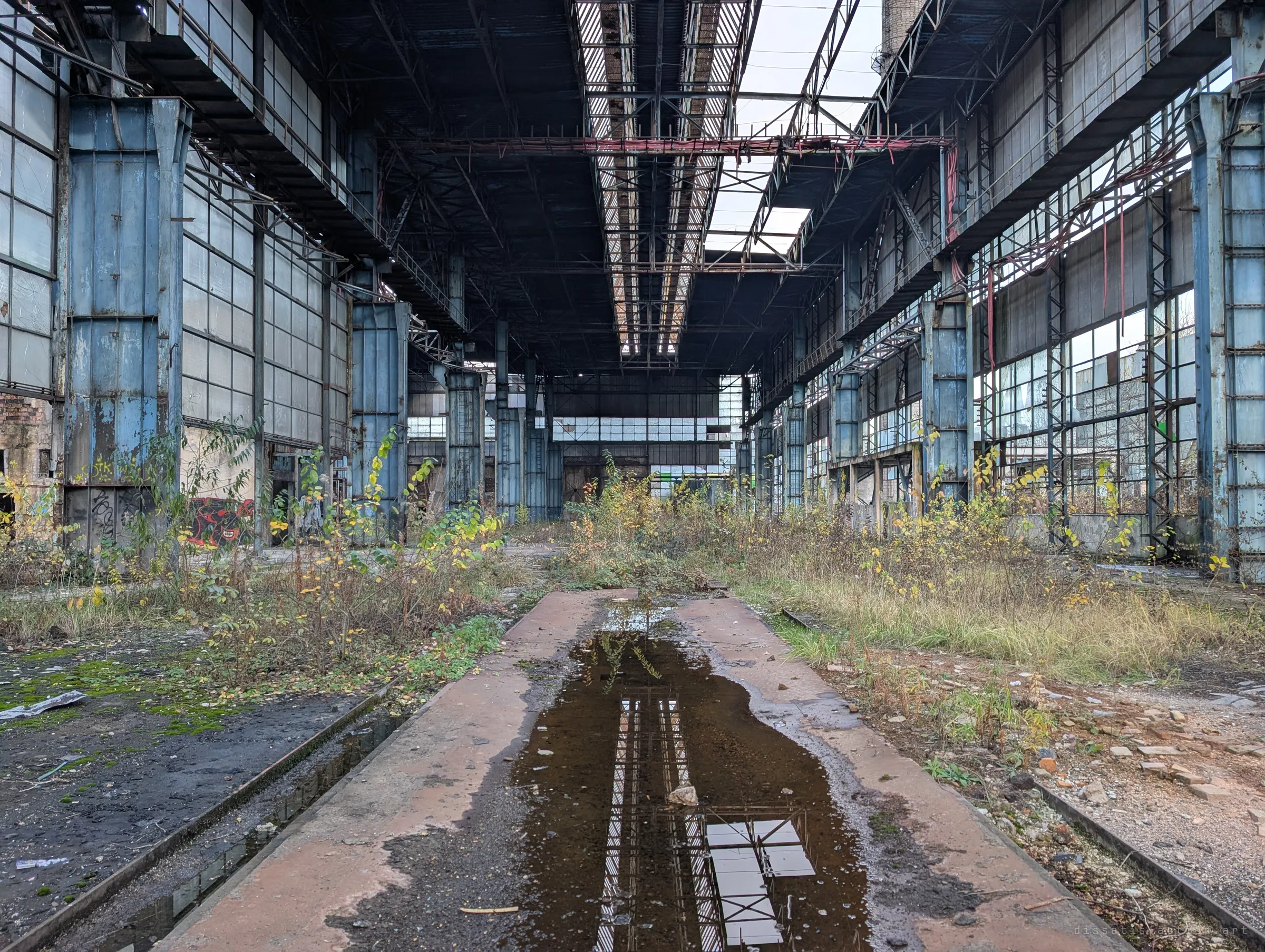 A crane-hall aisle stretches away between blue steel columns, with a puddle reflecting the skylights along a rusted rail track. Weeds fill the floor where machines once stood.