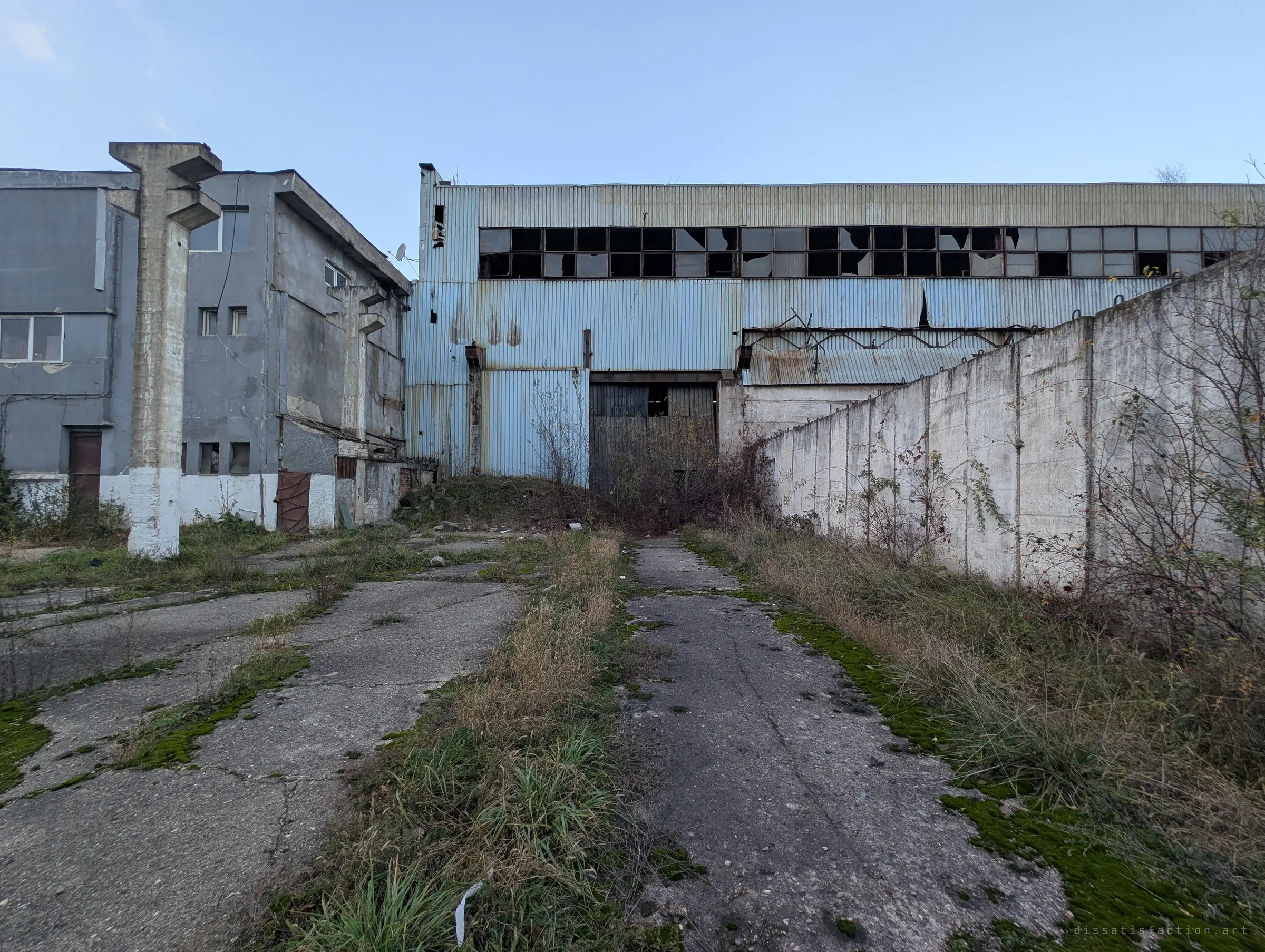 A cracked concrete lane overgrown with grass and moss leads to a blue corrugated hall with broken clerestory windows, flanked by a grey office block and a long concrete wall. Nature is slowly taking back the yard.