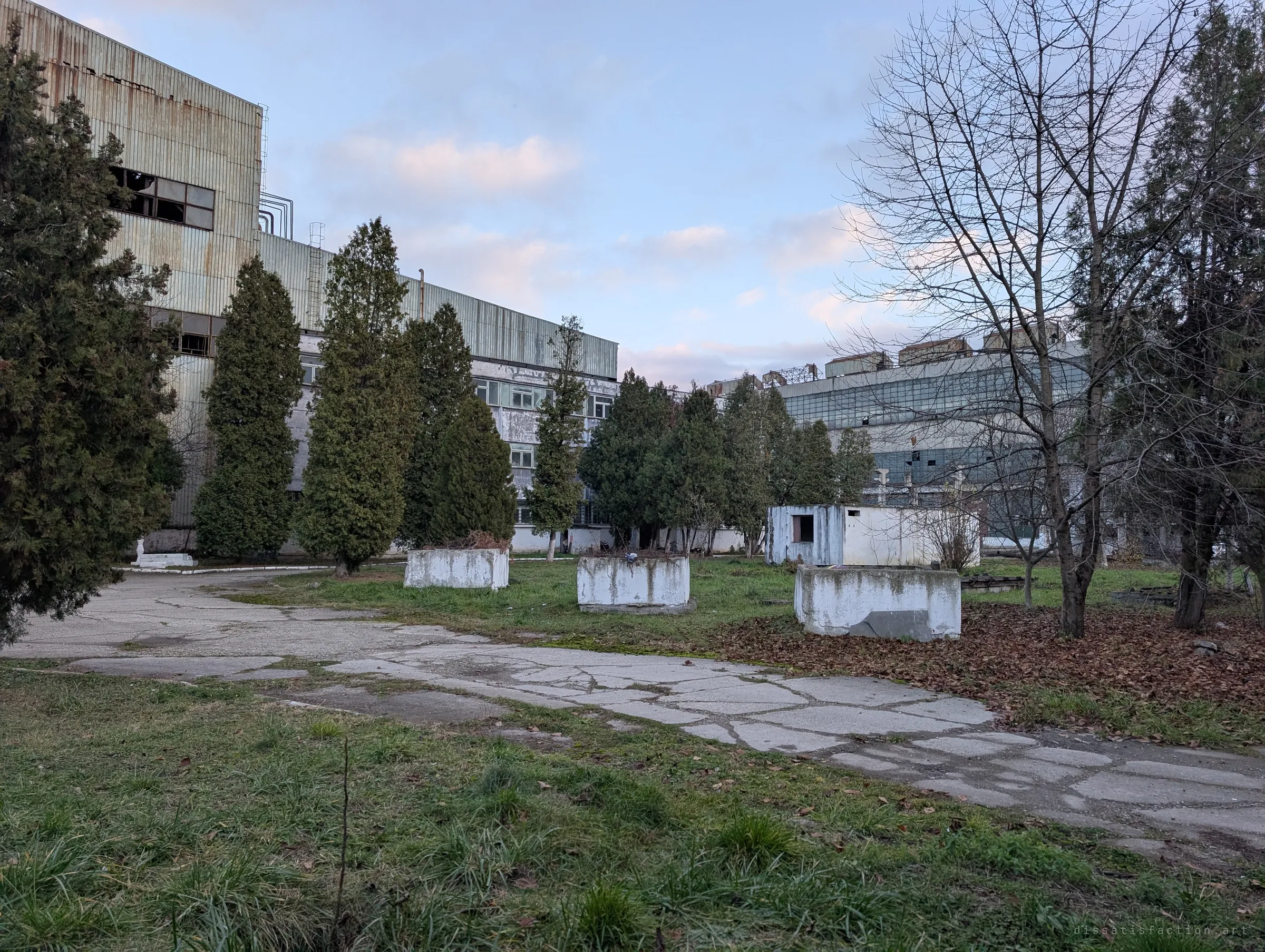 A quiet courtyard of cypress trees, cracked paving and white concrete planters sits between the tall weathered halls. A strangely calm, park-like corner inside the industrial complex.