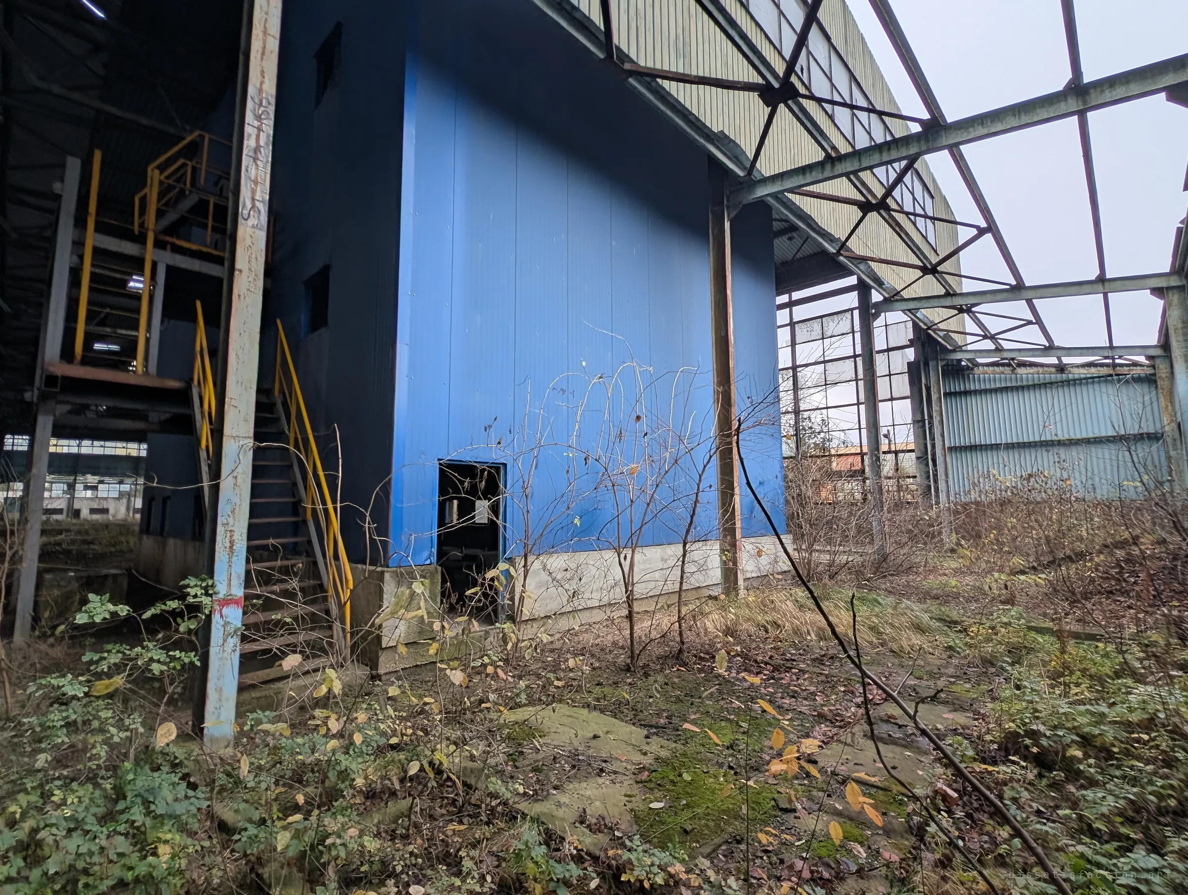A bright blue clad block with a small open door stands in an unroofed bay where shrubs and moss have taken over the floor. Bare roof trusses frame a grey November sky.