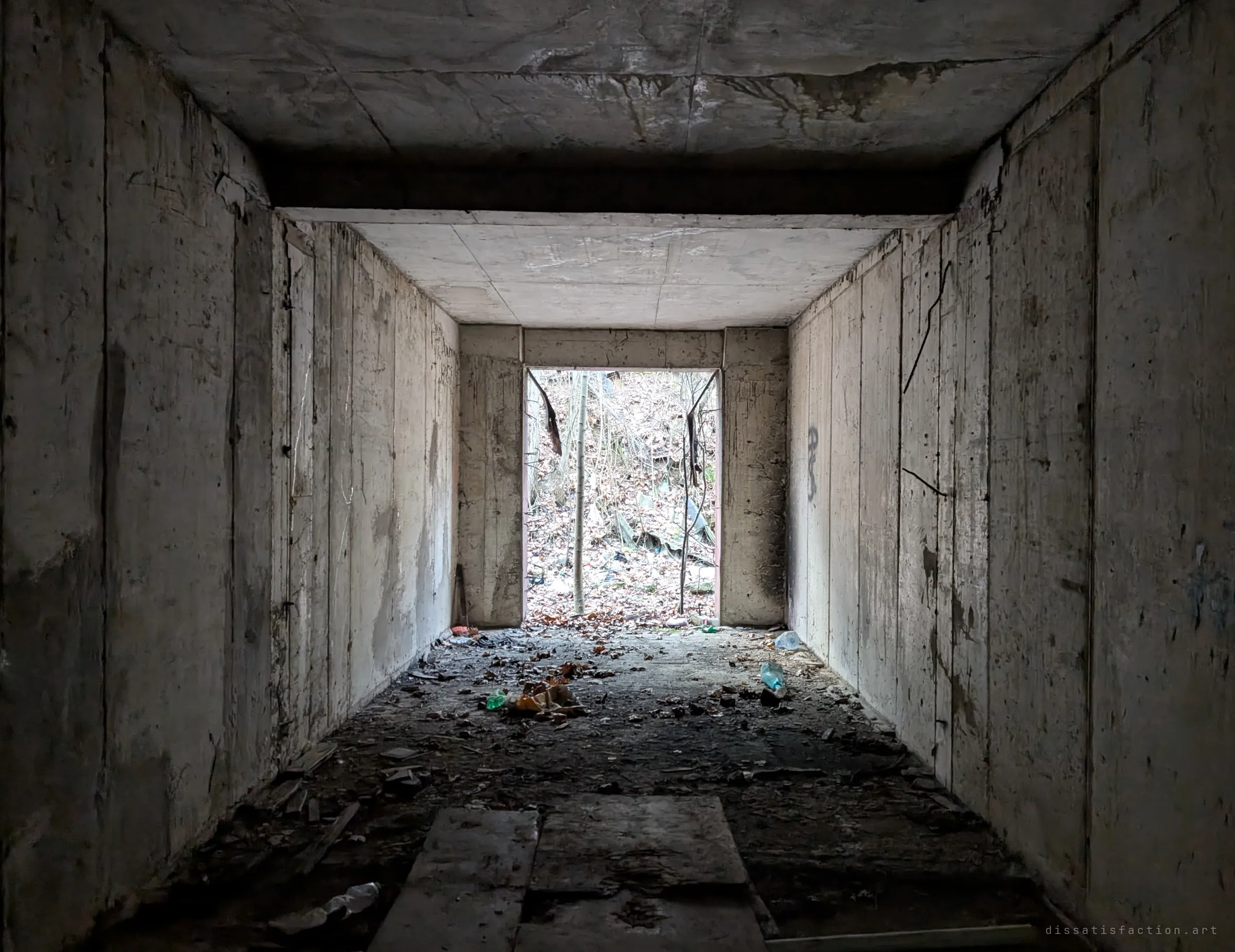 A dark concrete passage with scarred plank-marked walls leads to a bright doorway full of bare saplings and fallen leaves. Litter and loose boards cover the floor where nature is pushing back in.