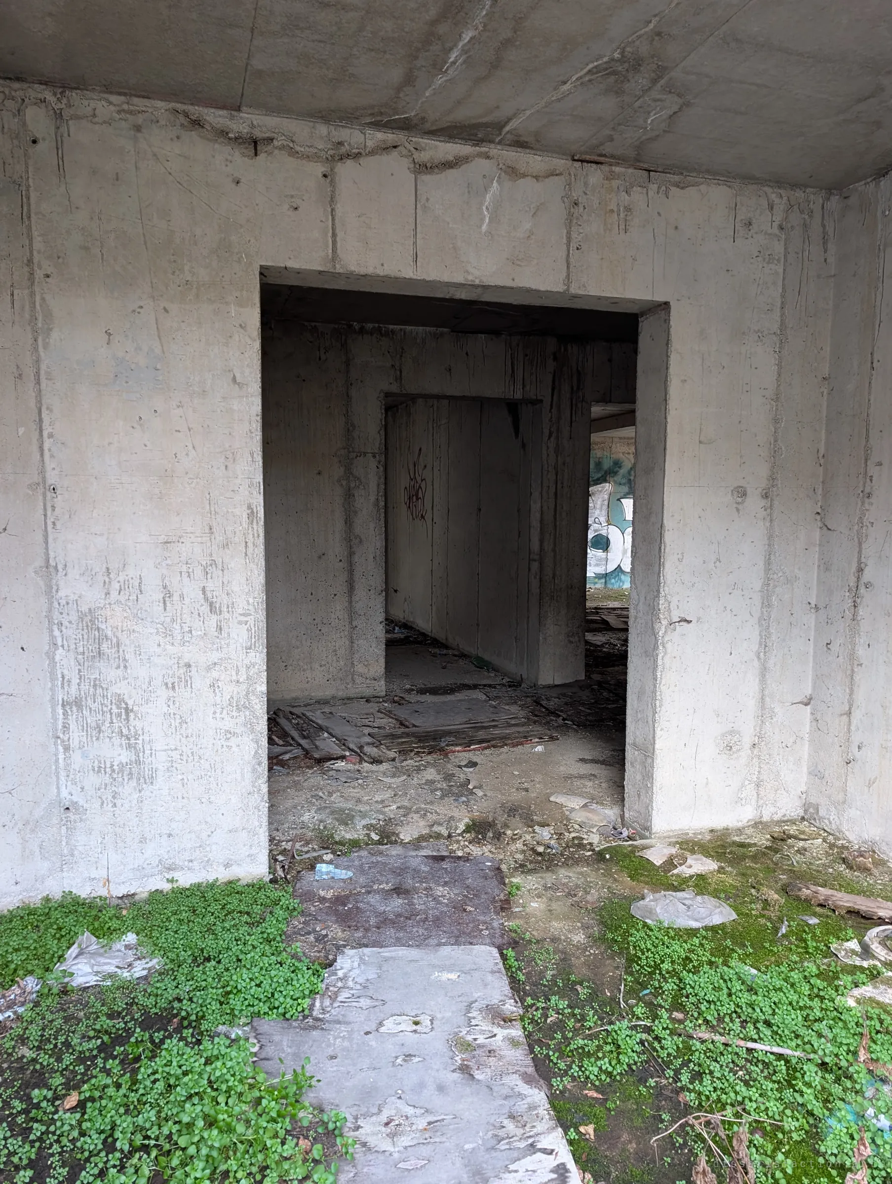 A doorway in a raw concrete wall frames a chain of empty rooms, with clover and moss creeping over the ground in front. The nested openings show how deep the unfinished shell runs.