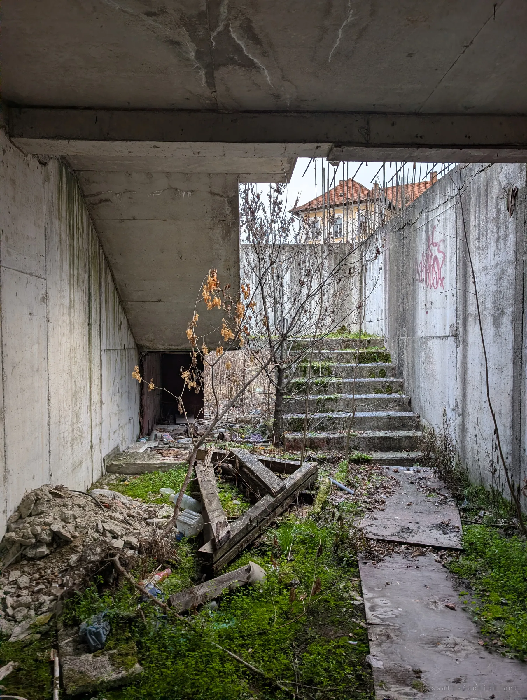 Moss-covered concrete stairs climb out of a sunken courtyard under a concrete slab, with a bare sapling and fallen timbers in the foreground. Rebar bristles from the wall tops where construction stopped.