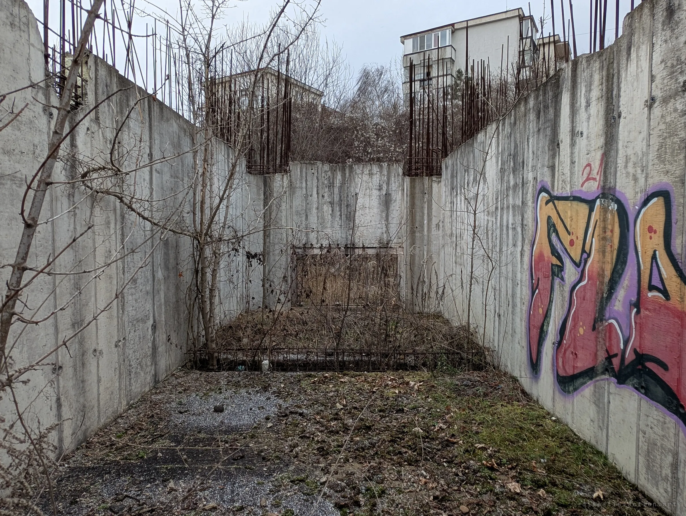 Tall concrete walls crowned with rusting rebar enclose an overgrown pit, with a bright graffiti piece on one side. Apartment blocks peer over the edge.