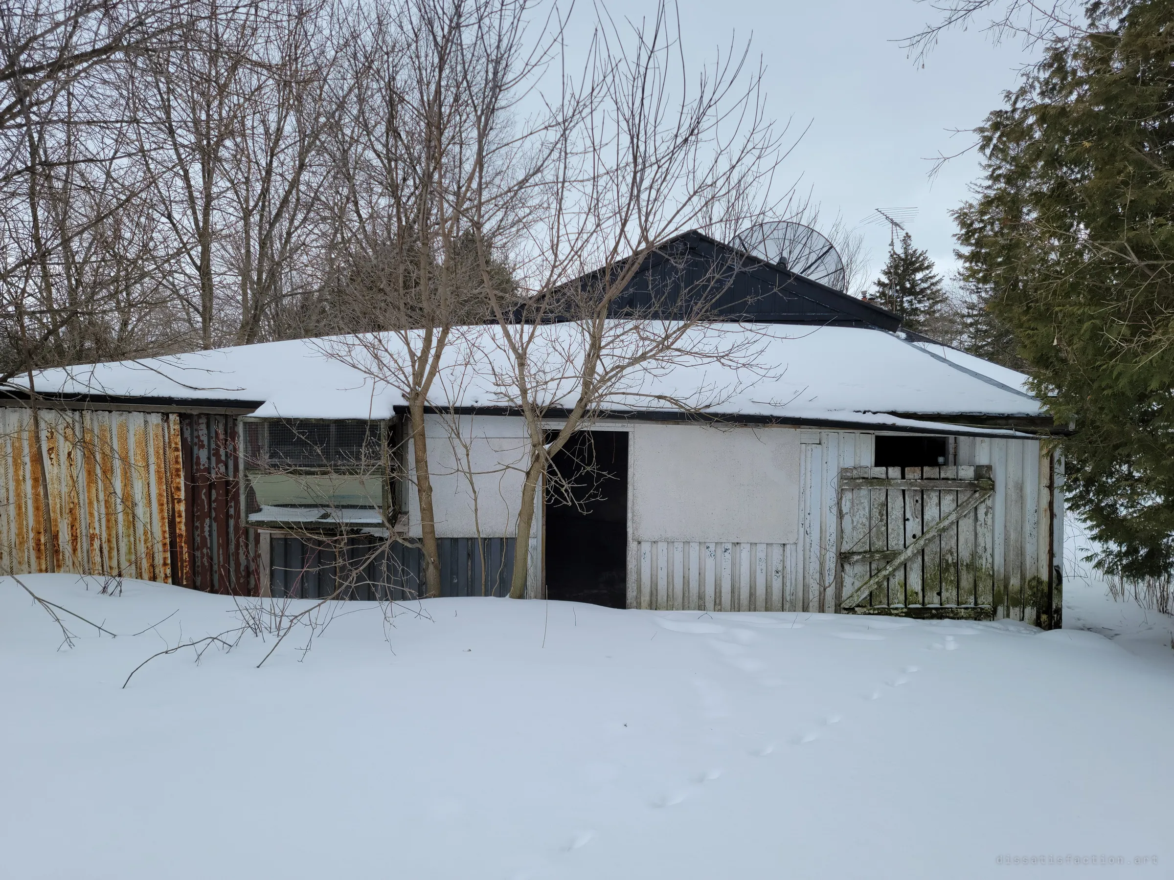 A low patchwork coop of rusted corrugated steel, plywood and a braced plank door, half buried in snow with the house roof and dish rising behind it.