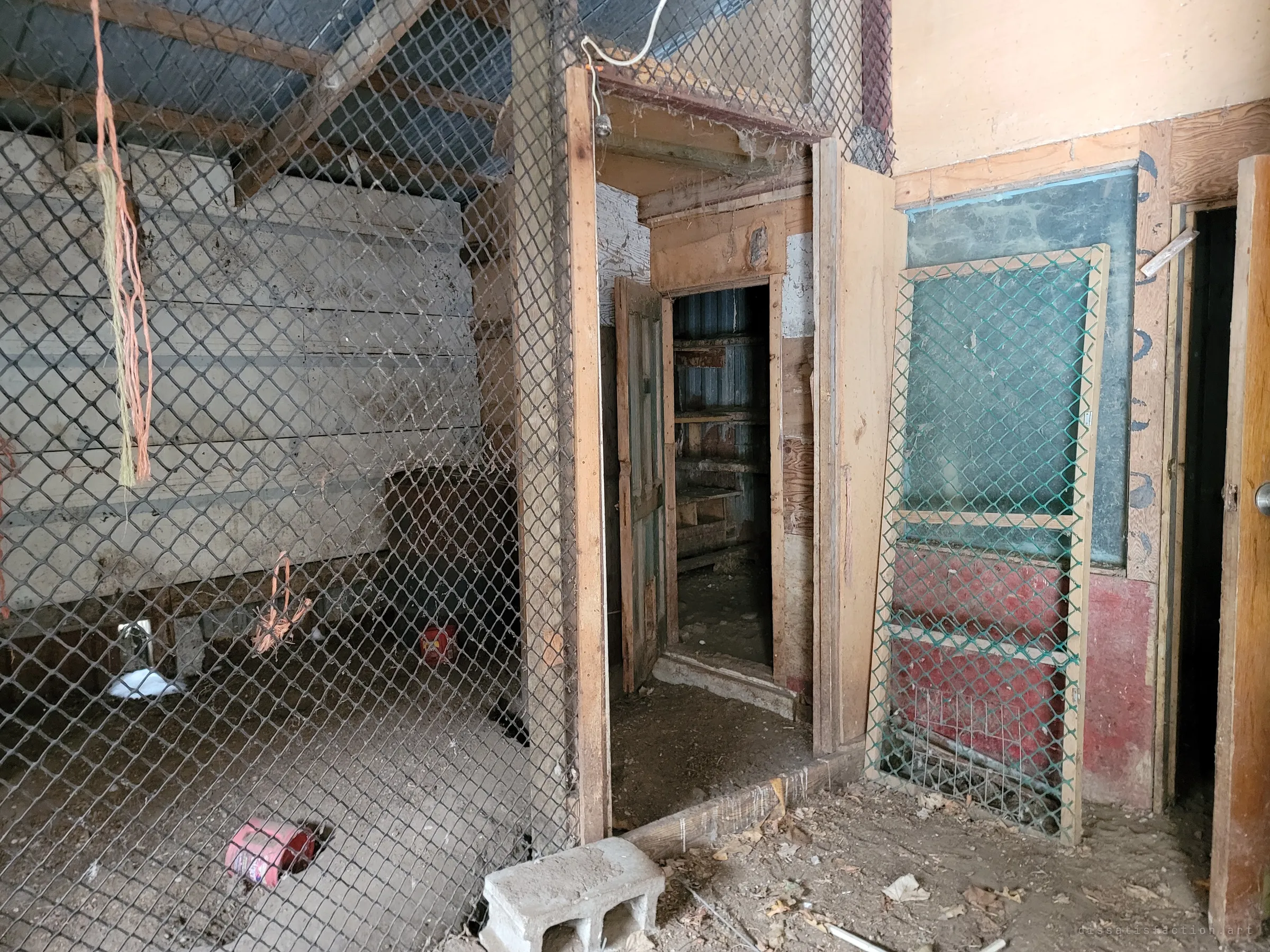 Chain-link and green plastic mesh pens divide the interior of the chicken barn, with a doorway leading back into a darker room of wooden roost shelves and feeders left on the dirt floor.