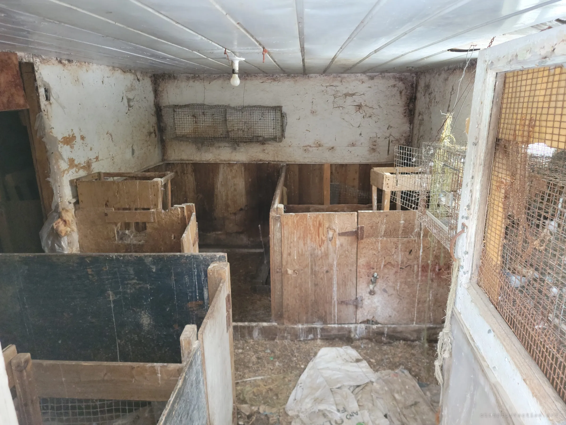 A whitewashed room of wooden nesting pens under a bare bulb, a wire cage hung on the wall and an empty feed sack on the floor, the droppings and stains showing years of birds.