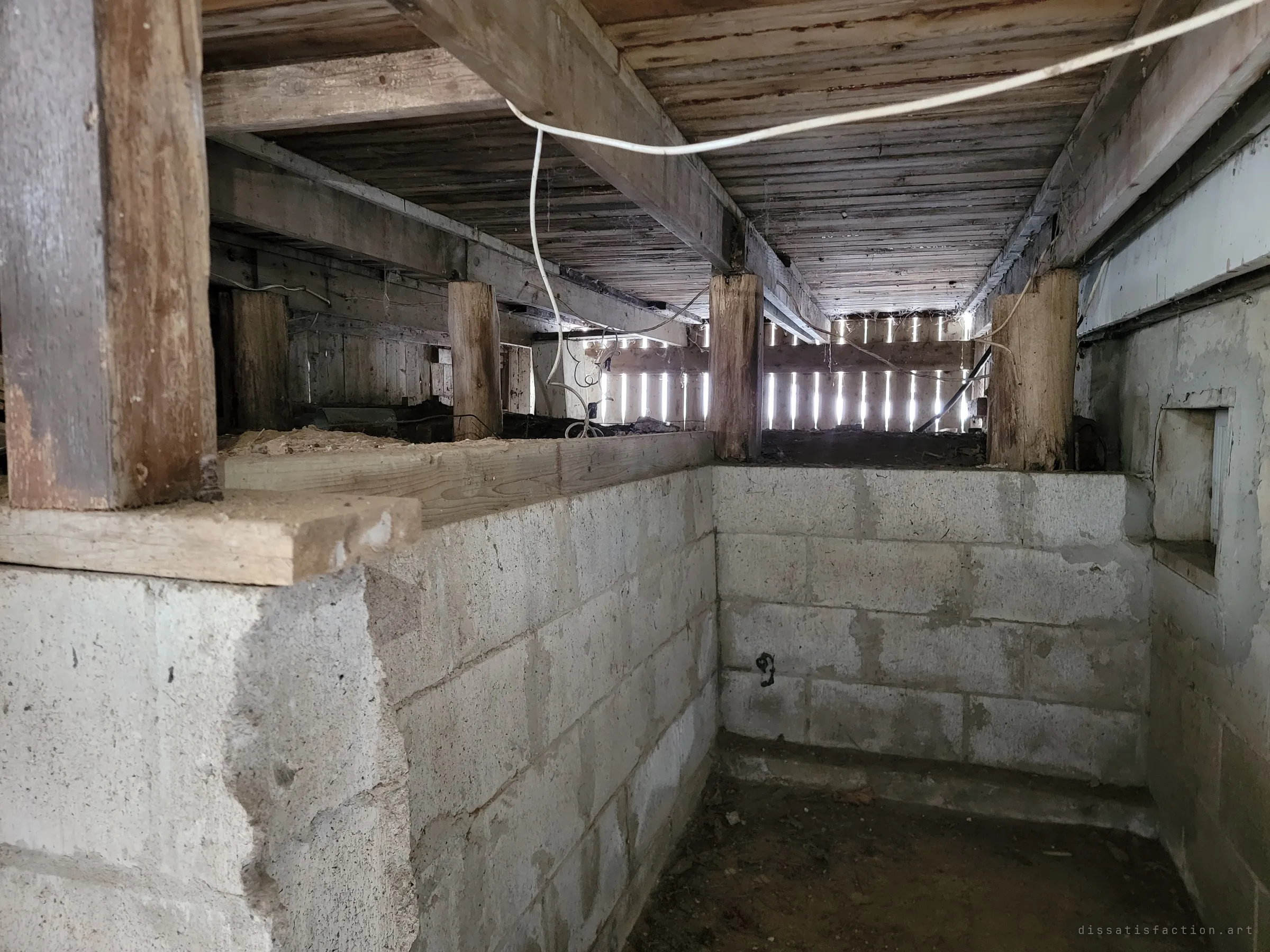 A crawlspace under the floor, heavy timber beams resting on cinder-block walls, with daylight slicing through gaps in the far wooden boards. The oldest bones of the building, beneath the finished rooms above.