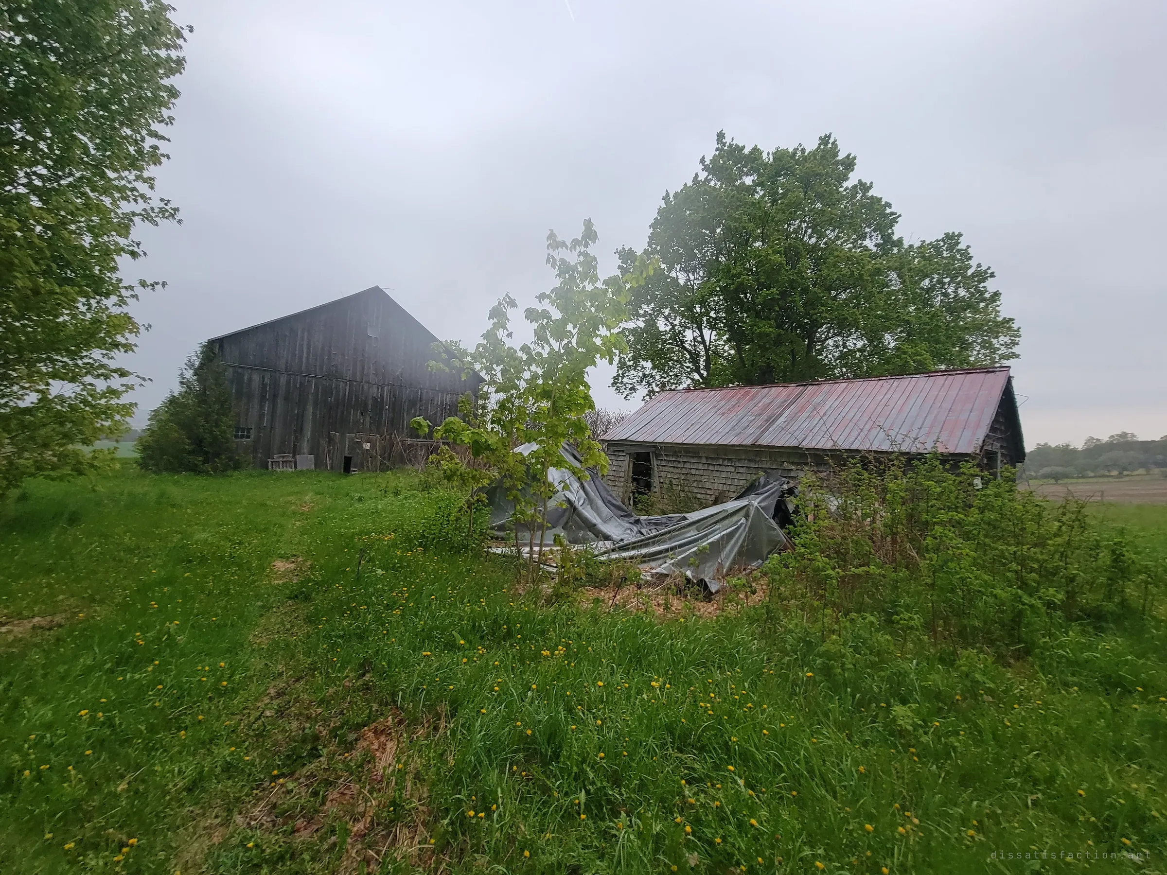 An old grey barn and a red-roofed shed stand in overgrown grass, a torn tarp collapsed between them under a misty sky.